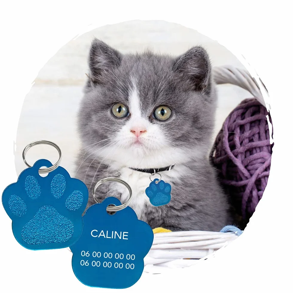Adzif.biz Le sticker de decoration - Plaque chat personnalisable forme patte en aluminium - Bleu - Aluminium - 26 x 28 mm (2,6 x 2,8 cm)