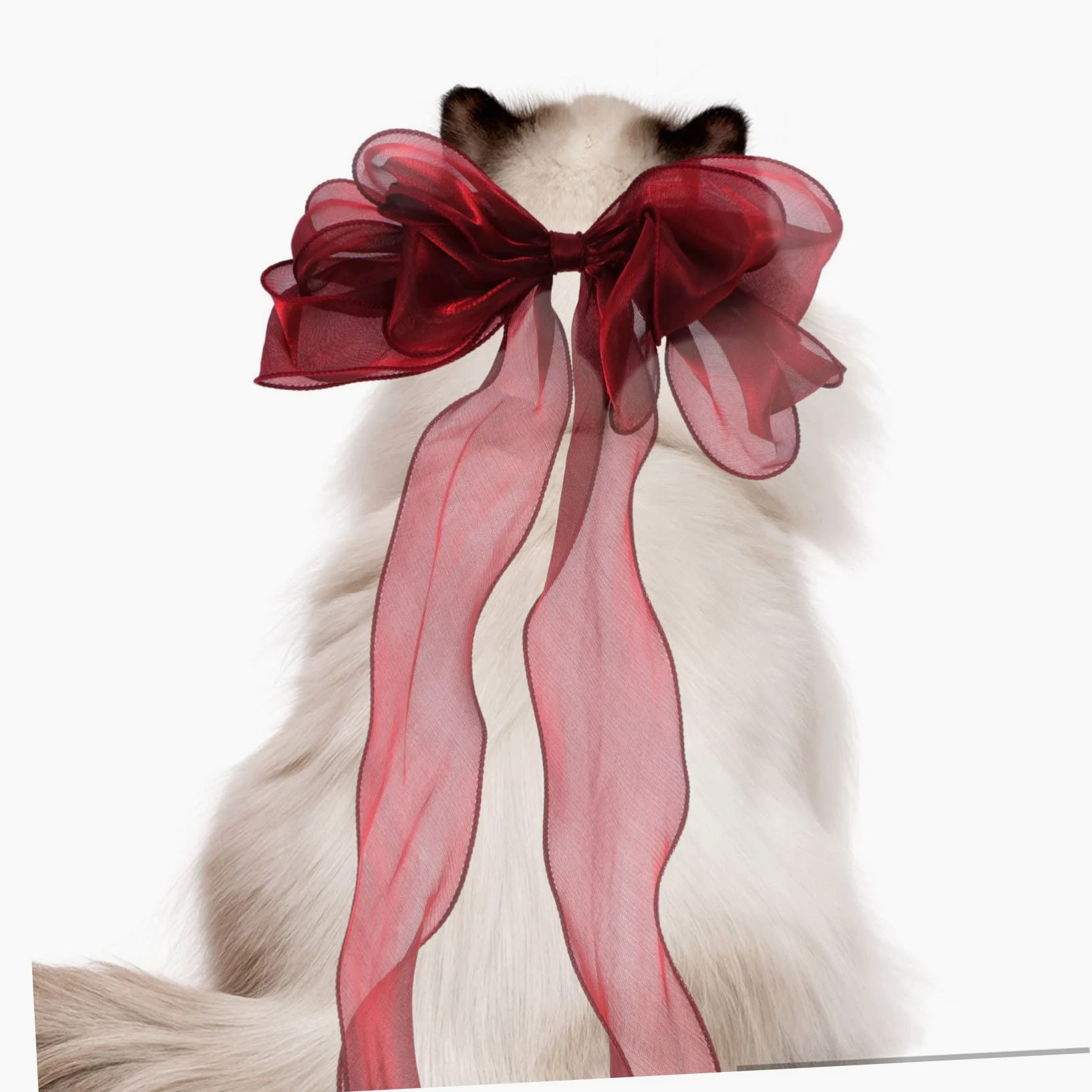 Abaodam Collier pour Chat avec Nœud Décoratif Réglable pour Chaton Et Chat Confortable