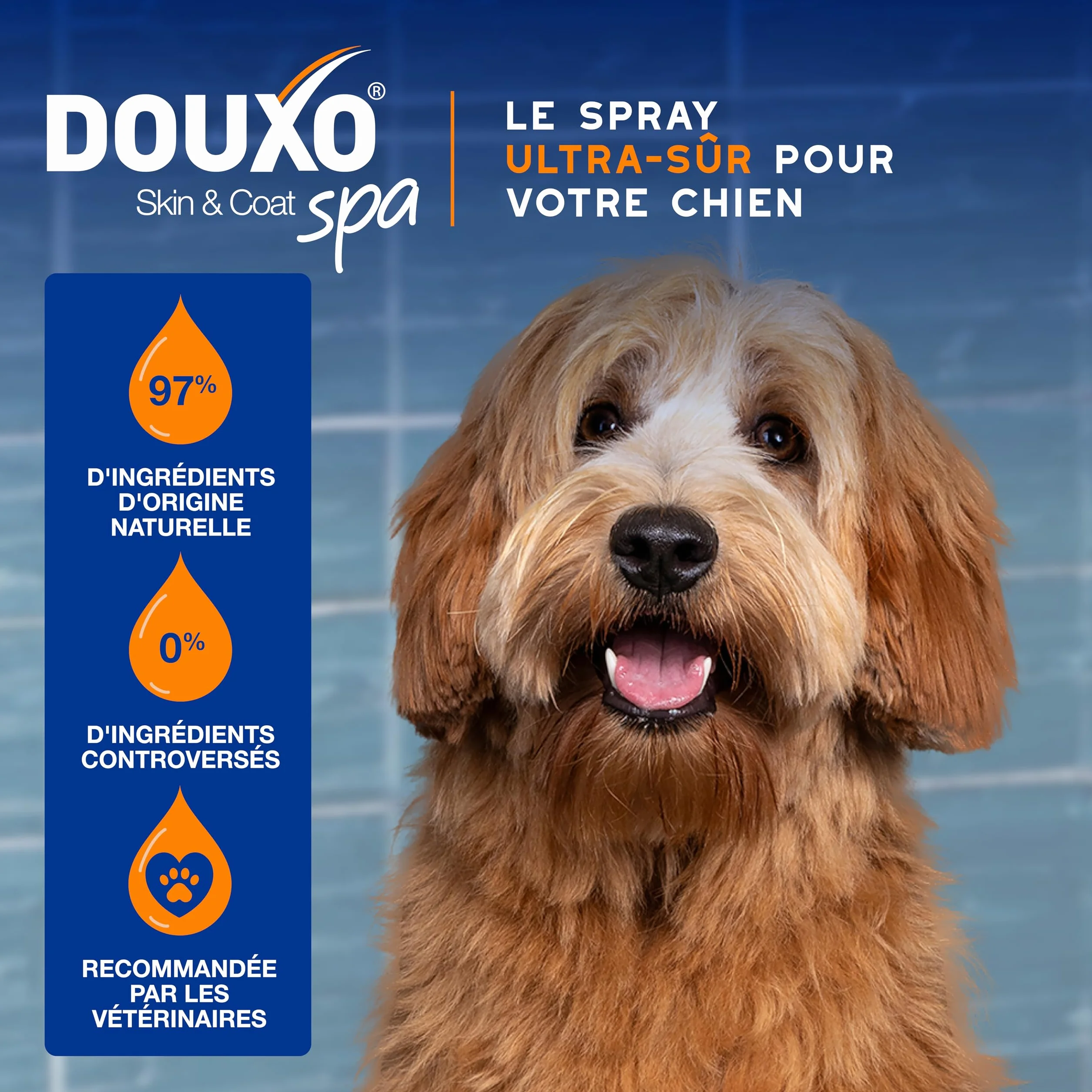DOUXO Skin & Coat Spa - Ultra-Safe Spray démêlant pour Chiens, 340mL, démêle et nourrit Le Pelage en Toute sécurité, Laisse Le Pelage Doux, Soyeux et sans Noeuds, Formule respectueuse de la Peau.