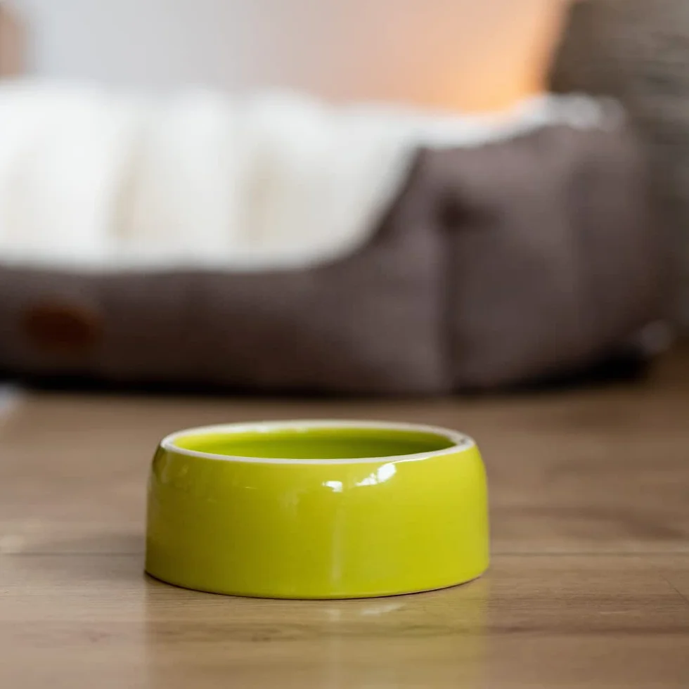 Nobby Mangeoire en Terre Cuite pour Rongeur Vert Diamètre 14,5 cm