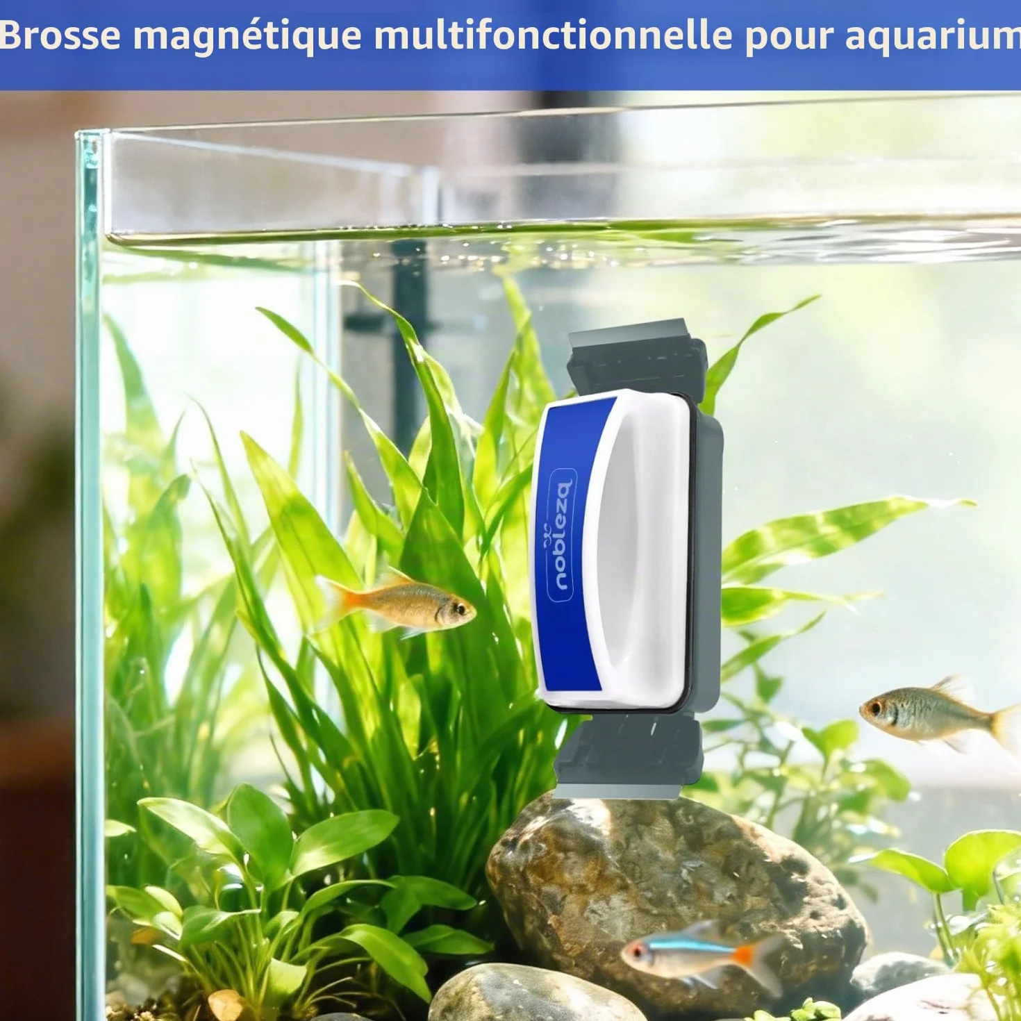 Nobleza Double Aimant Nettoyeur Aquarium Grattoir Magnétique Puissant Taille M 13.8x5x8cm