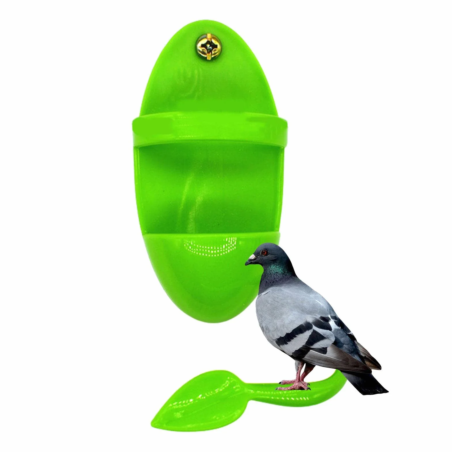 Porte-os de seiche pour Cage à Oiseaux - Support à Os de seiche pour Perroquets, Calopsittes, Perruche