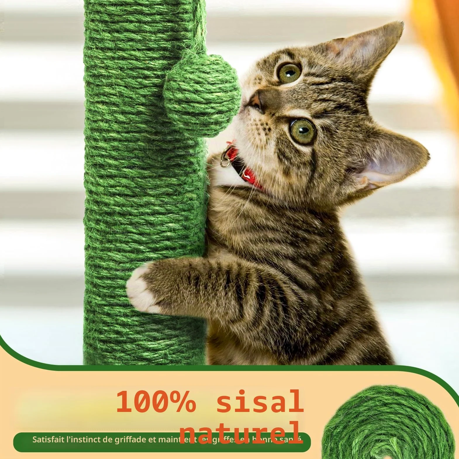 Mora Pets Griffoir Cactus Arbre à Chat Poteau Arbre Chat Tour Griffoir pour Petit Chats en Sisal 82.9 x 39 cm (H x Ø)