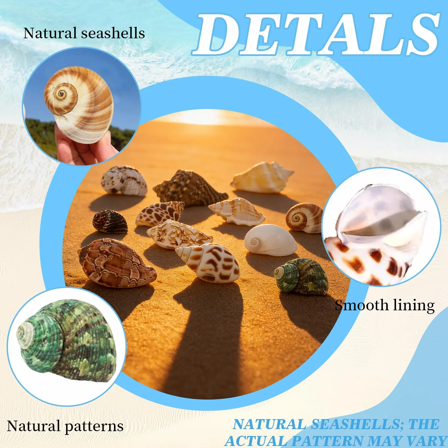 Coquillages Mixtes Marins 3-9 CM Decoration Aquarium Coquille Saint Jacques Vide Pas Perfore DIY Lampe Paillettes
