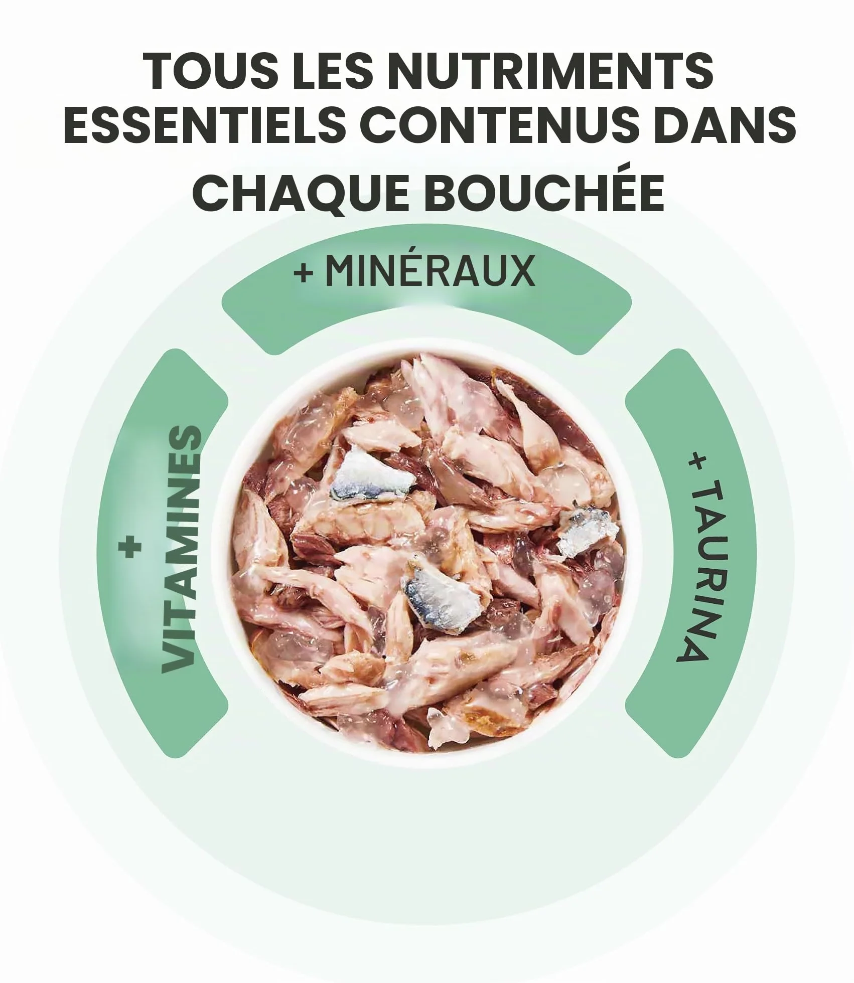 Schesir, Thon avec alicette en Bouillon, Nourriture Humide complète pour Chats, en Conserve, avec des vitamines supplémentaires, 100% Naturel, 6 x 85 g