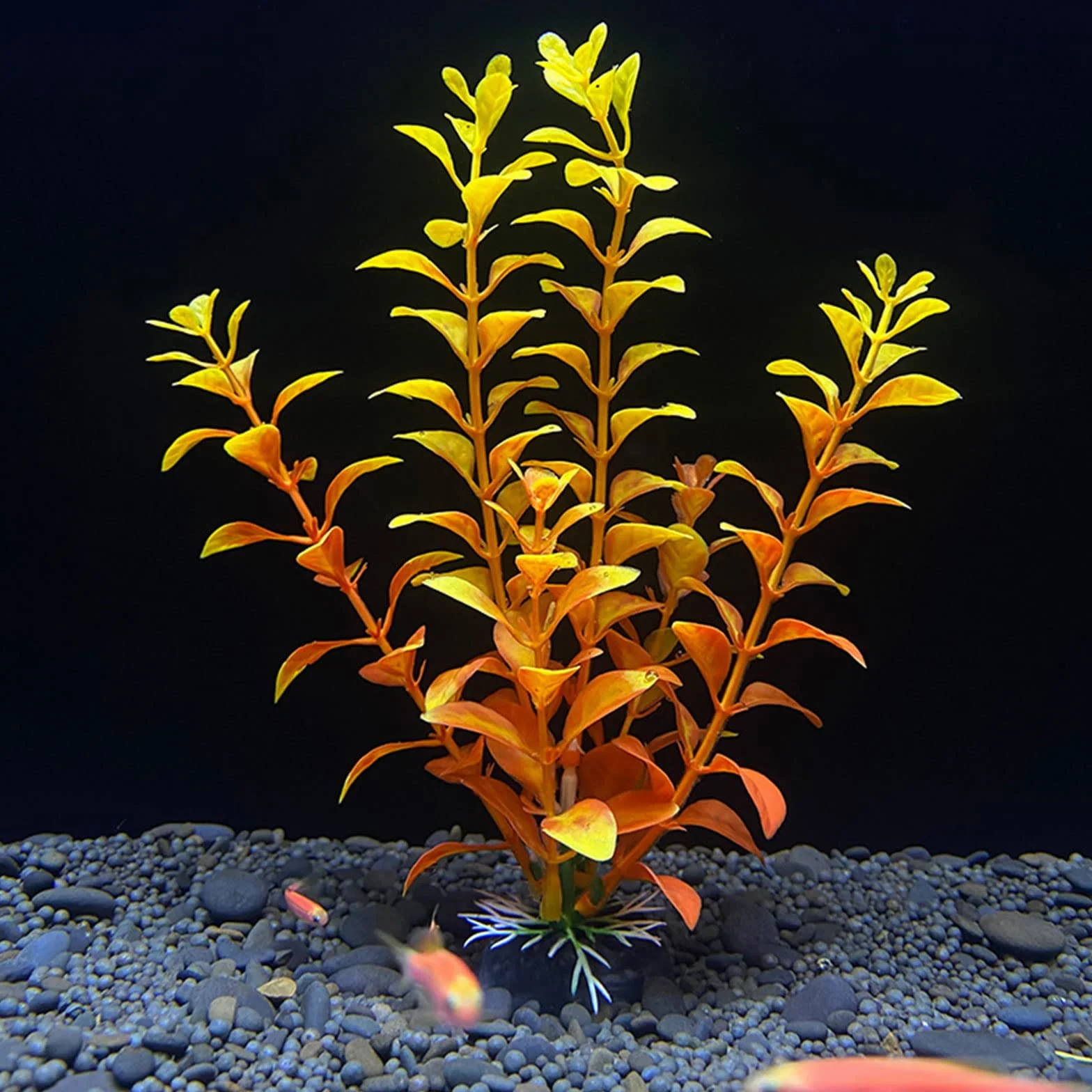 Haiki Plante aquatique artificielle pour aquarium