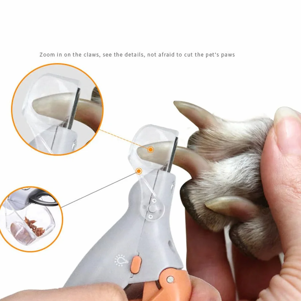 Coupe-ongles LED pour chats et chiens - Ciseaux à ongles lumineux - Kit de toilettage