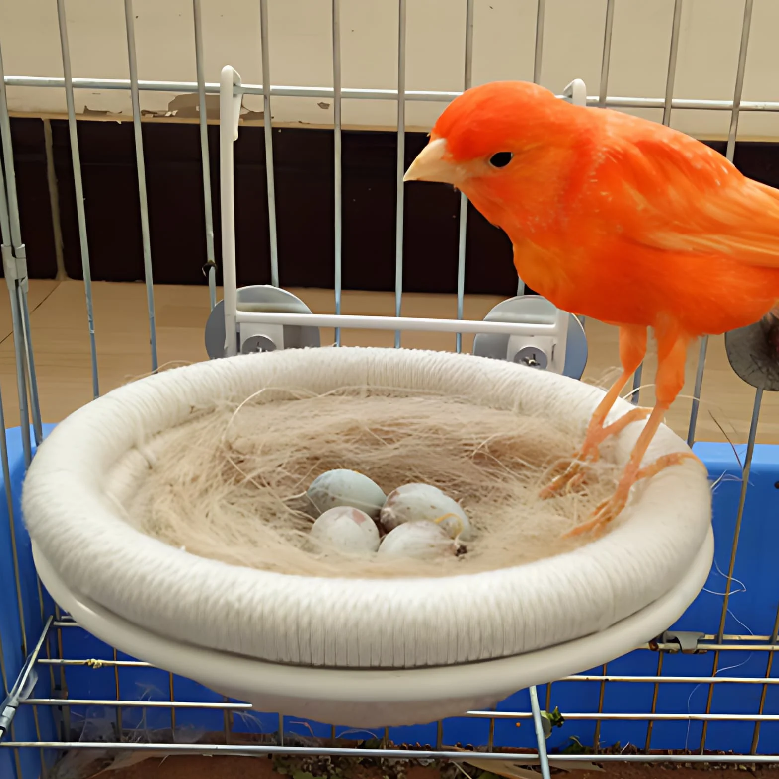 Nid Perruche Canaris en Jute Soie Paille Coton pour Petits Oiseaux Animaux Perroquets Pinsons
