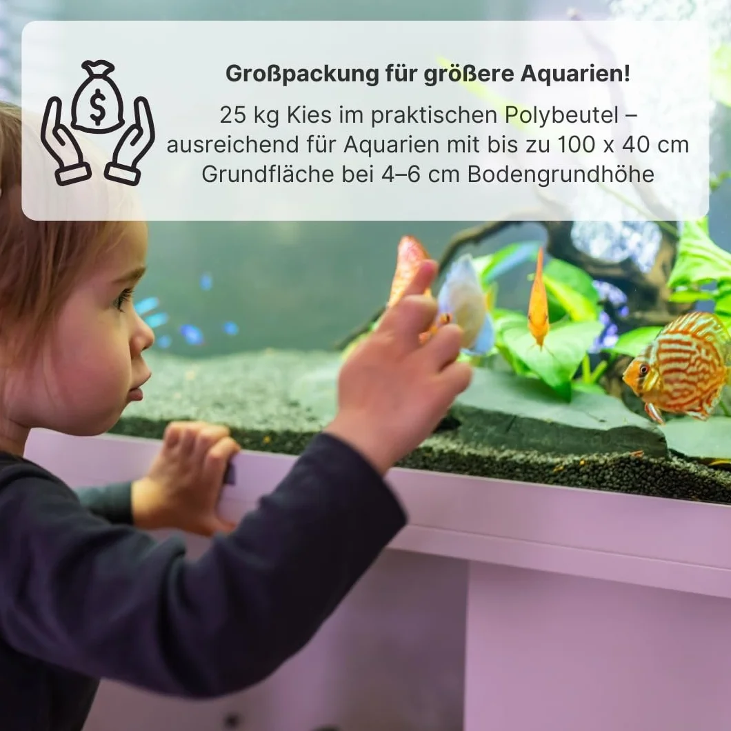 Quartz Gravier 25 kg 2–3 mm fond d'aquarium Sable