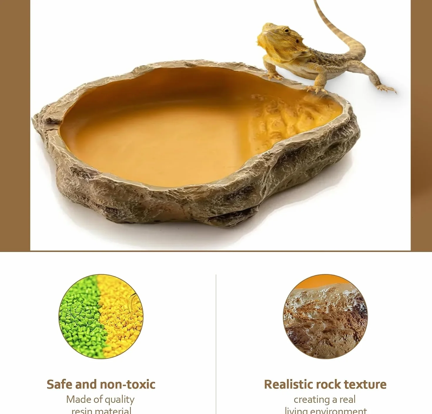 Bol à Eau pour Terrarium Tortues Reptiles Serpent Gecko