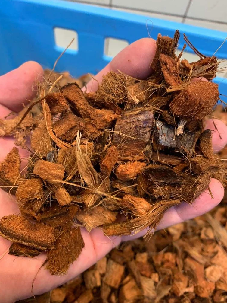 TropicShop Noix de coco pour terrariums - Pour serpents, tortues, lézards, etc. (4,5 kg - Balles grosses grain 16-24 mm)