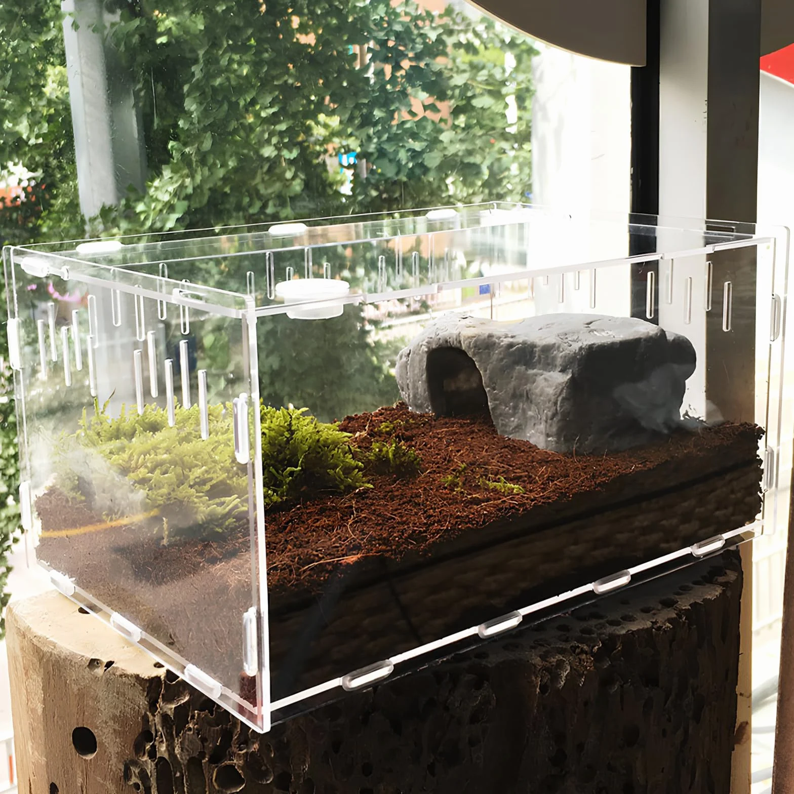 Terrarium à Escargots en Acrylique Transparent pour Reptiles et Amphibiens 20×12×12cm