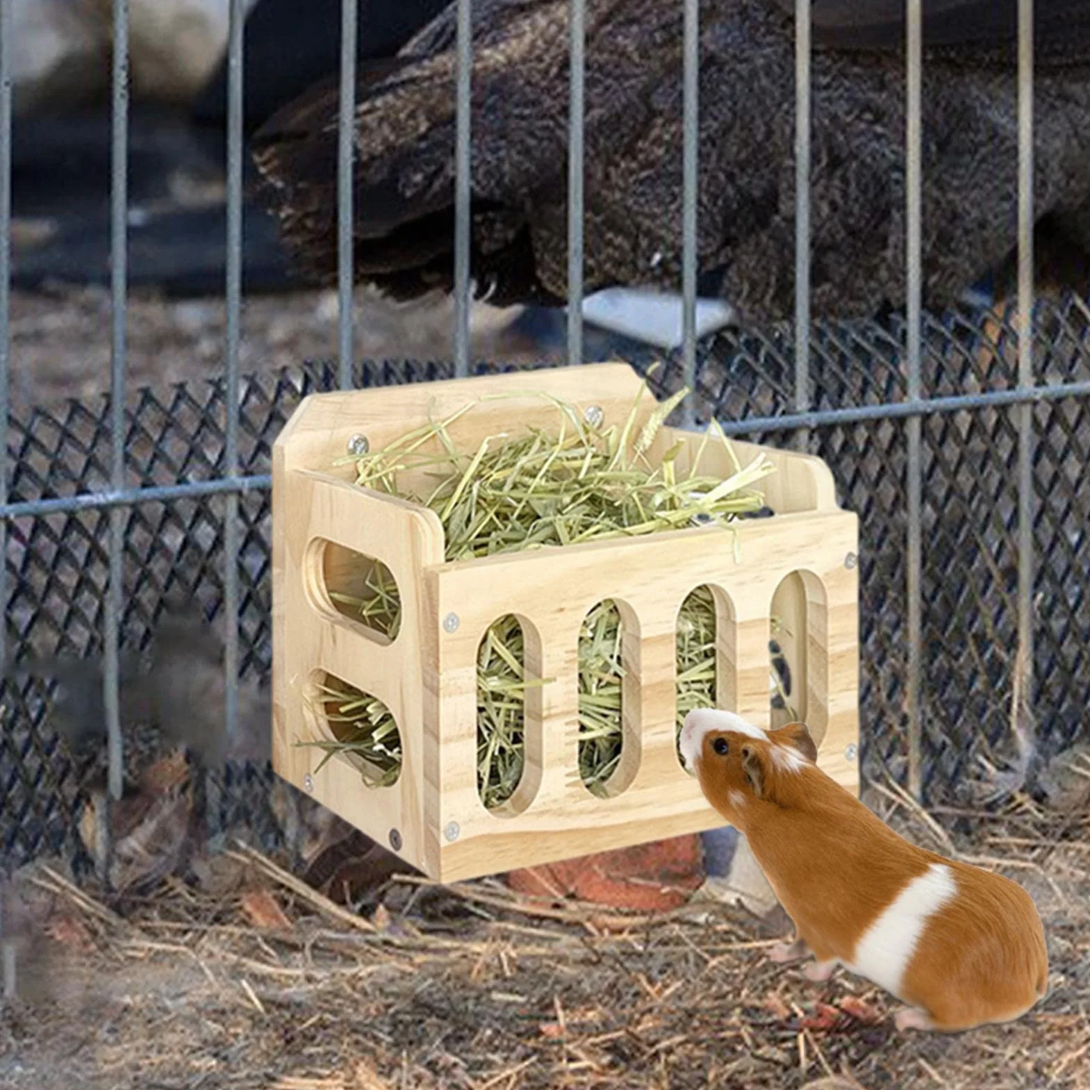Distributeur de Foin en Bois pour Cochons d'Inde, Lapin et Cobaye - Râtelier à Foin pour Petits Animaux
