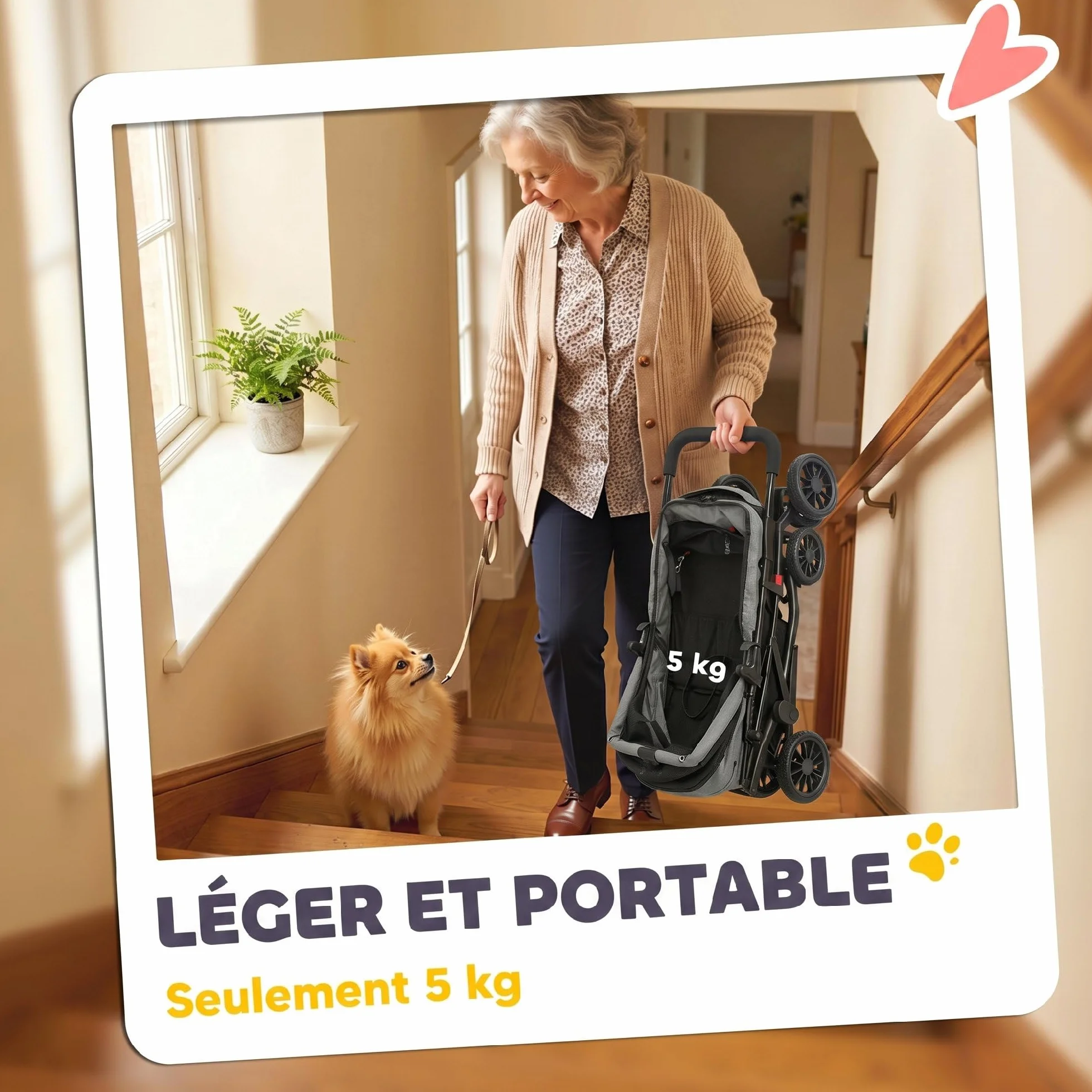 PawHut Poussette pour Chien avec 4 Roues EVA, Chariot Pliable, Frein, Gris