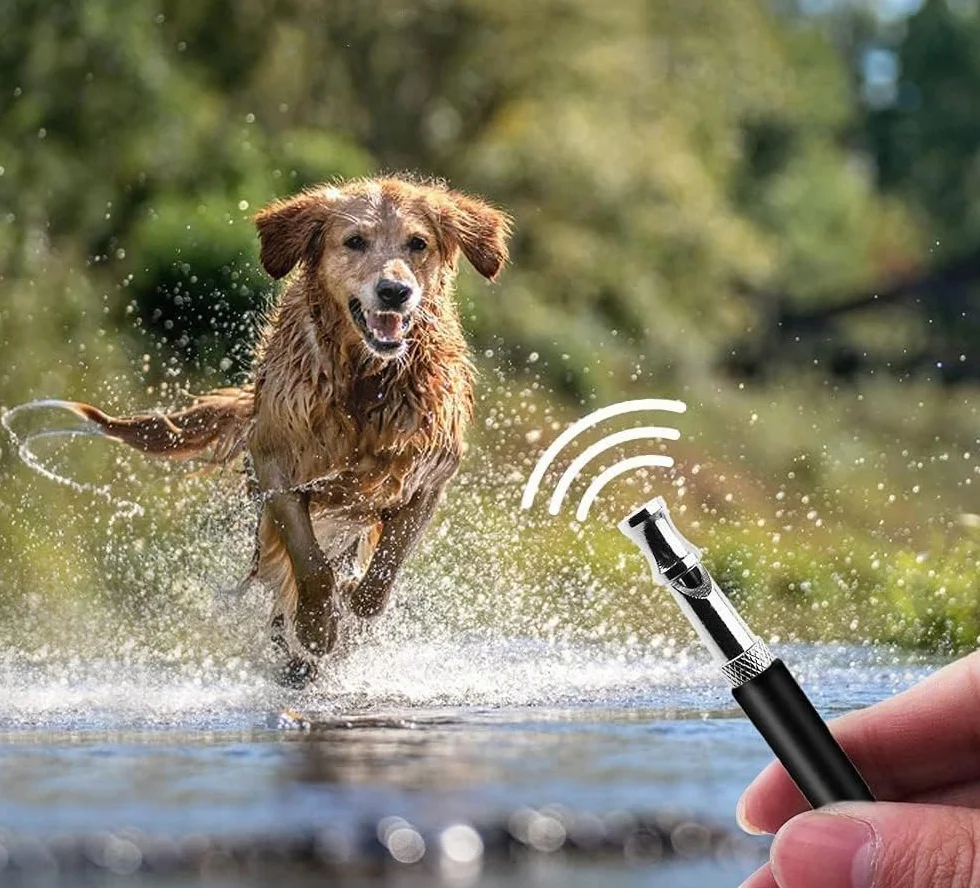 Sifflet Ultrason Chien Anti Aboiement 2 Pièces avec Lanière Dressage Canin