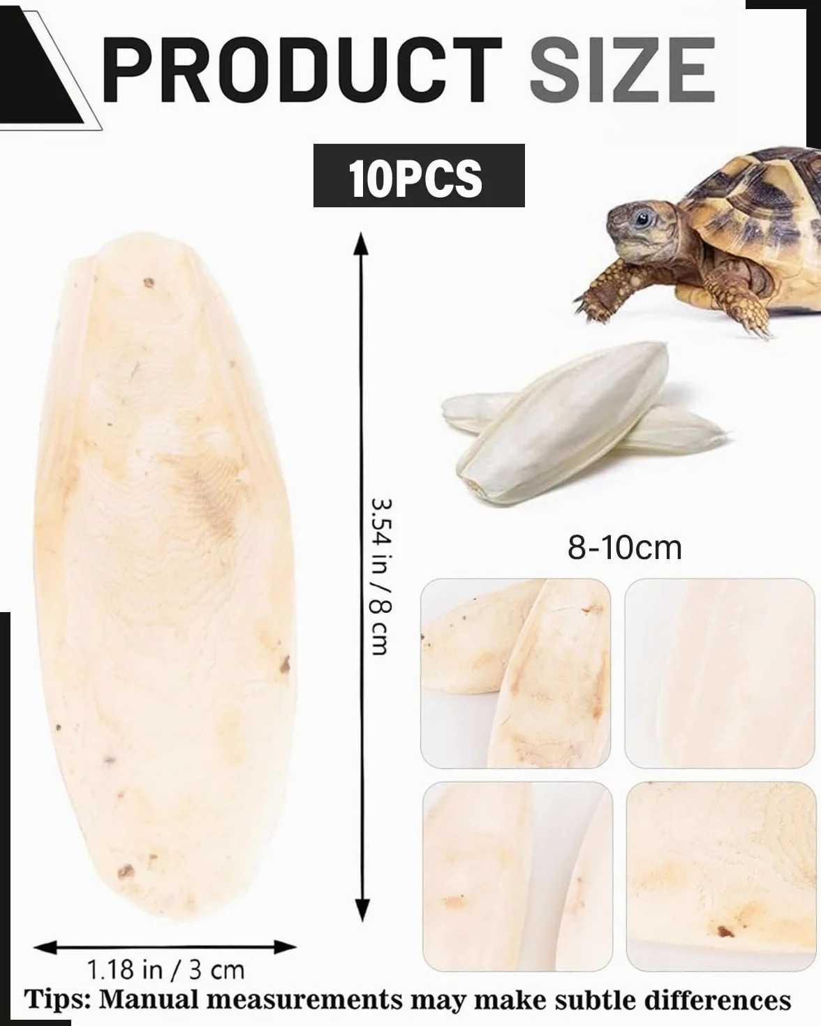 Os de Seiche Tortue 8-10cm Jouets pour Oiseaux Reptiles