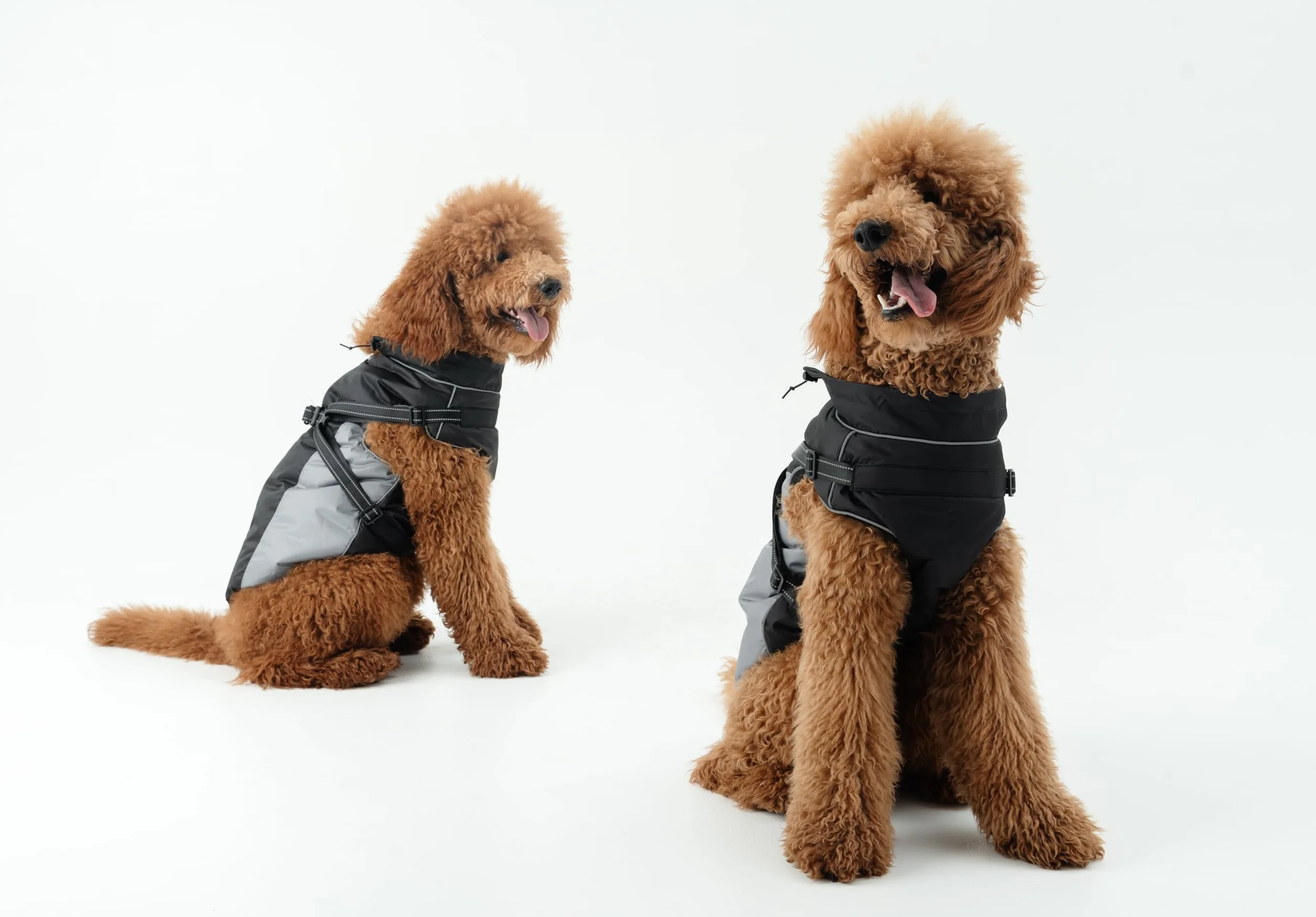 DOGOPAL Manteau Imperméable pour Chien avec Harnais Intégré – Veste de Pluie Réfléchissante, Coupe-Vent et Chaude pour Chien, Veste de Protection pour Petits, Moyens et Grands Chiens (Gris, 45)