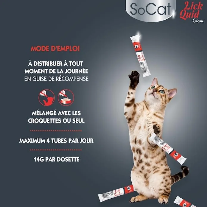 Riga - Socat Lick Quid - Friandises pour Chat - Snack Humide Au Crabe - Crème A Lécher - Vitamines Et Taurine - sans Colorant Ni Conservateur - Faible en Graisses - Récompense Idéale - 4 x 14g
