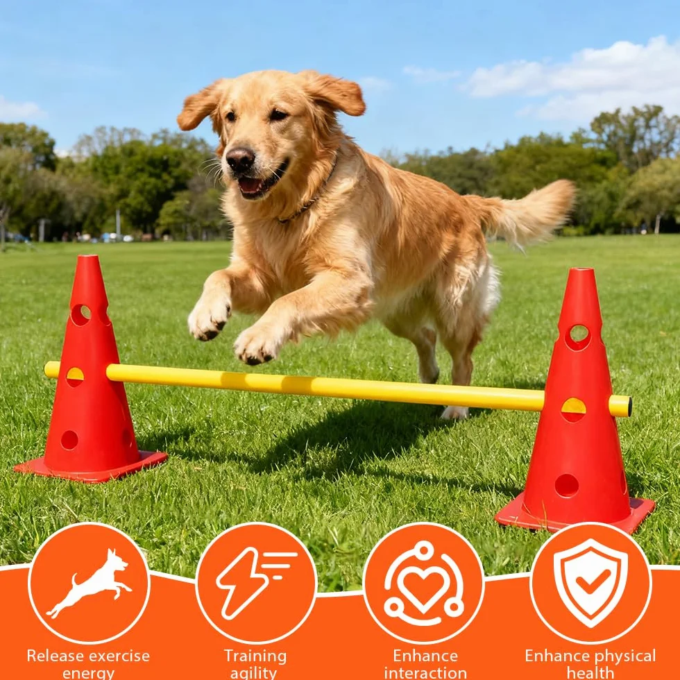Haies d'Entraînement Agilité pour Chien, Saut Obstacle 8 Cônes 32cm + 4 Barres 80cm