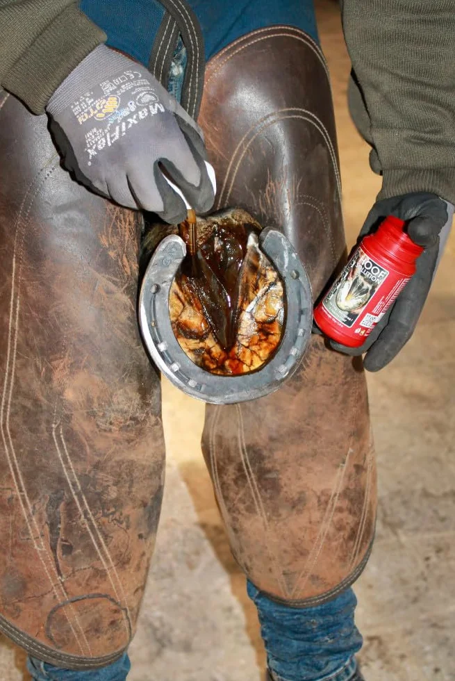 Solution pour Sabots Kevin Bacon 150 g avec Pinceau intégré