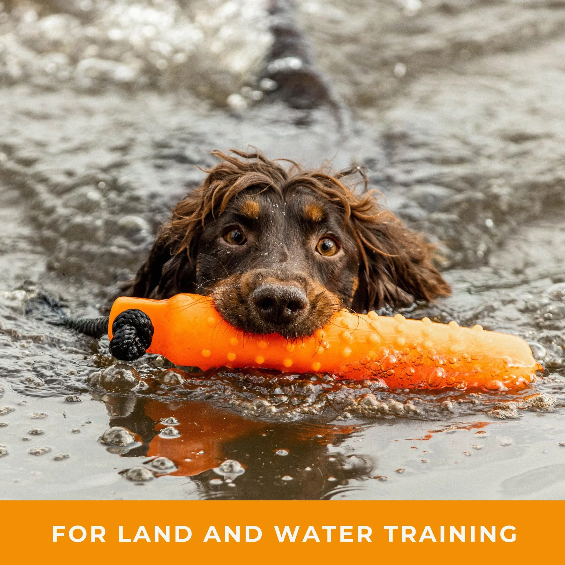 Dog & Field Gundog Water Dummy Jouet flottant pour chien avec cordon de lancement Orange Grande taille