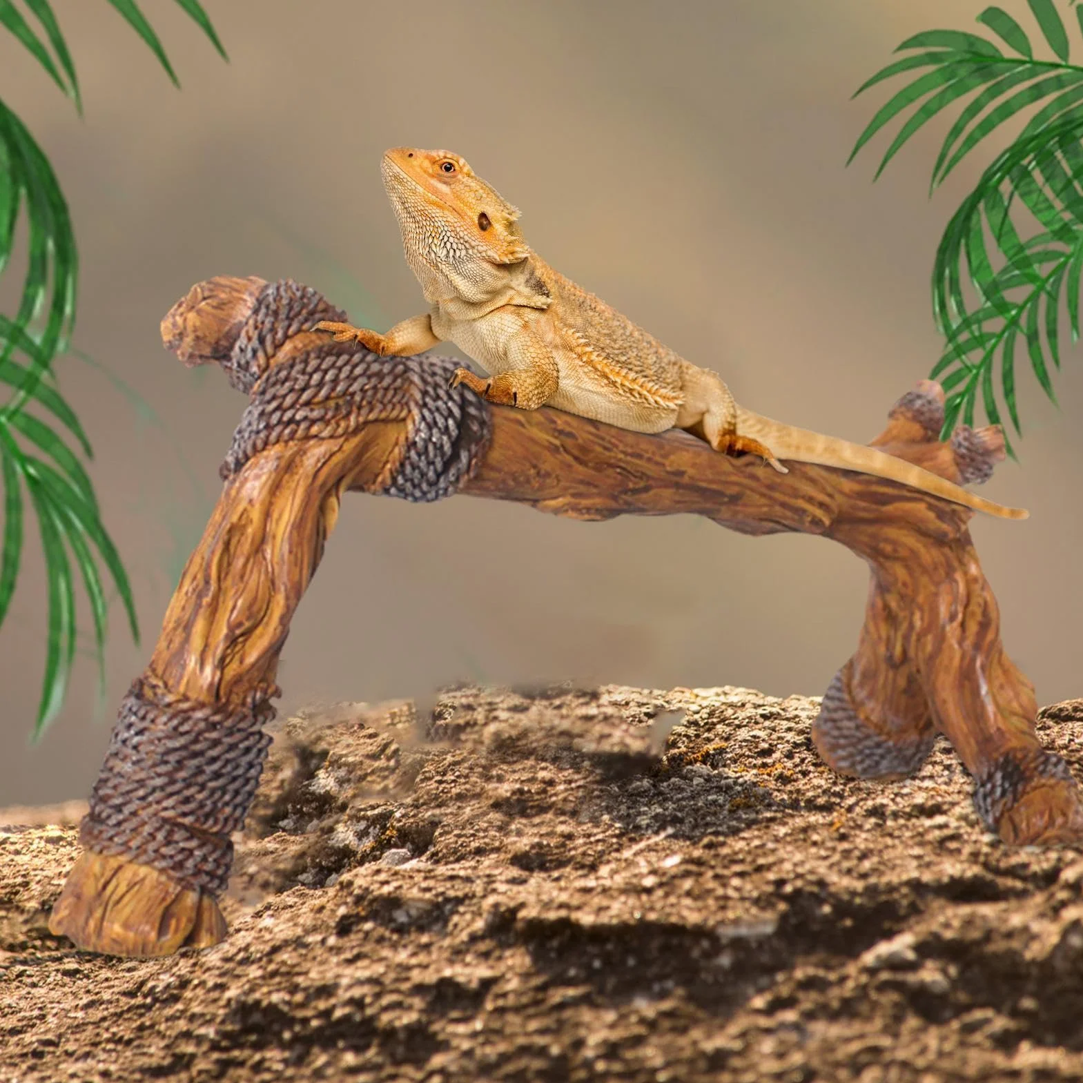 Branches en bois pour reptile, décoration terrarium tronc d'arbre lézard serpent