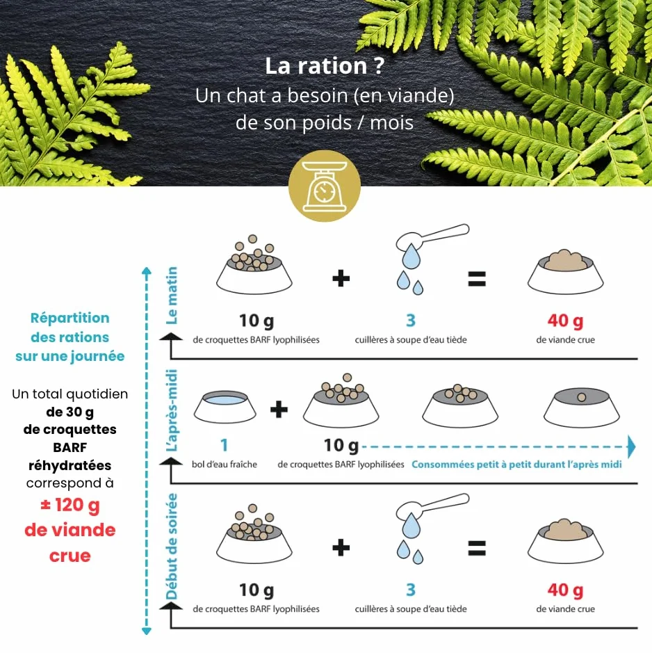 Croquette Barf Cuisse et Filet de Poulet hachés Lyophilisée pour Chaton