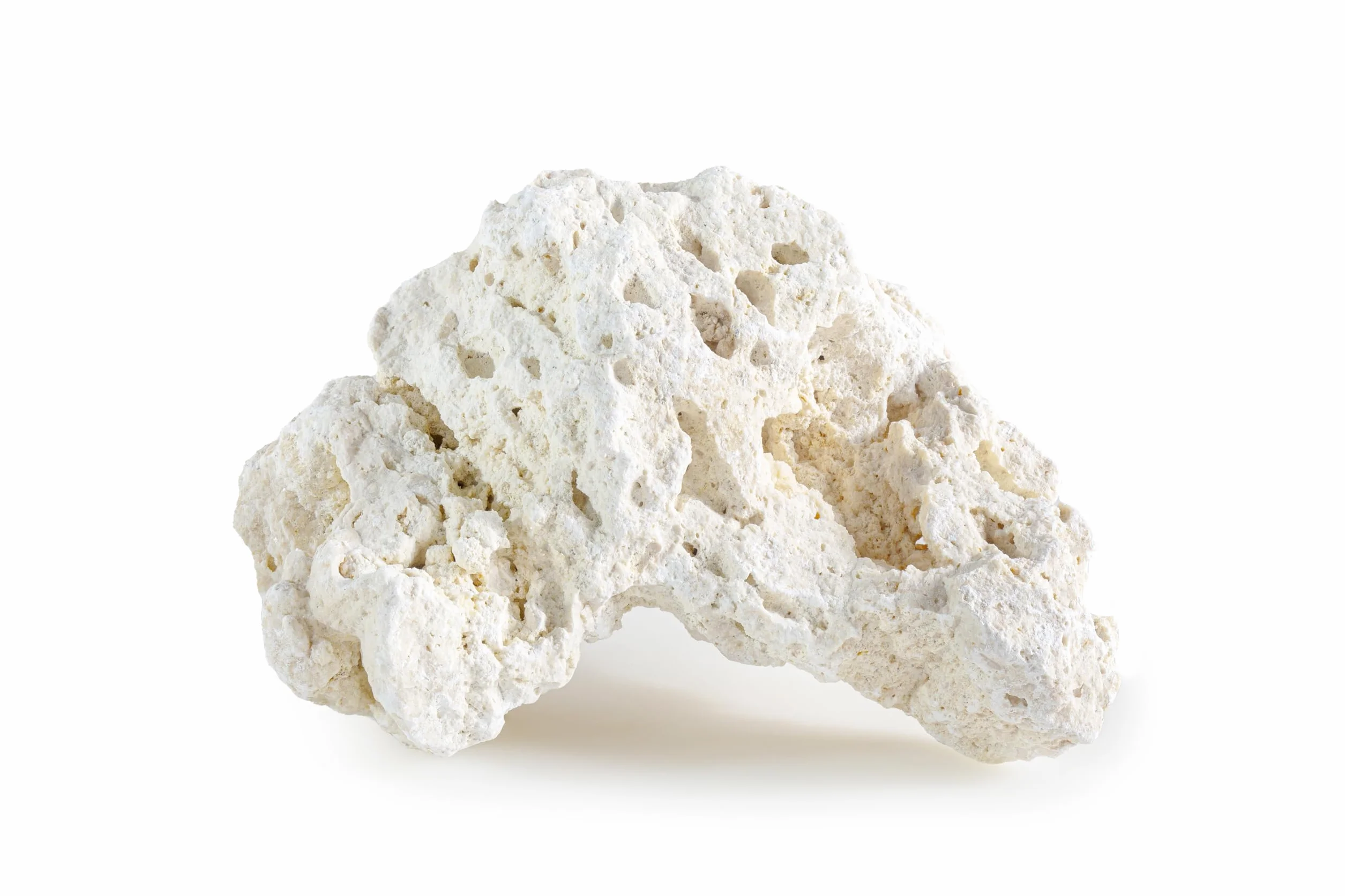 ARKA myREEF-Rocks 20kg Roches Naturelles pour Aquariums Marins