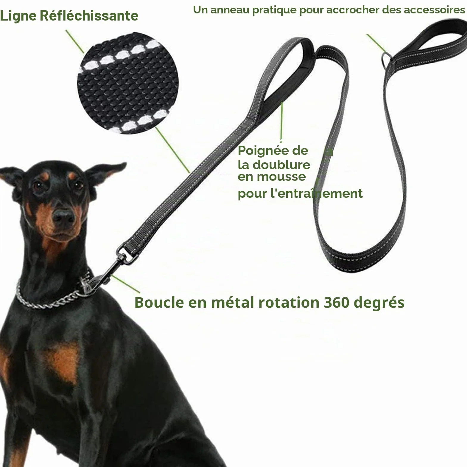 Laisse de Dressage à Double poignée 1,5 mètre Réfléchissante pour Chiens Grands et Moyens