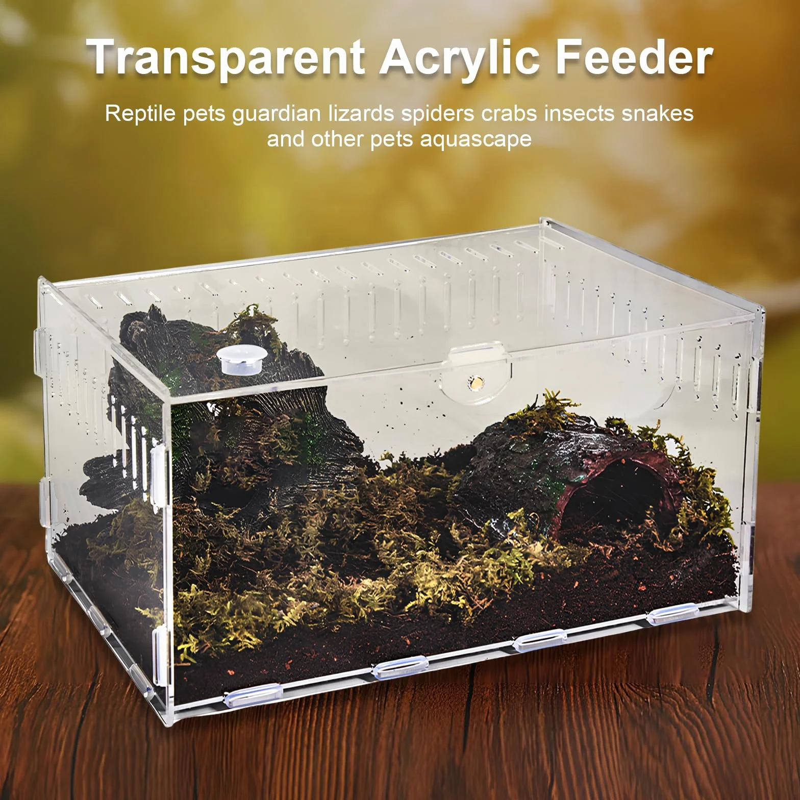 Terrarium à Escargots en Acrylique Transparent pour Reptiles et Amphibiens 20×12×12cm