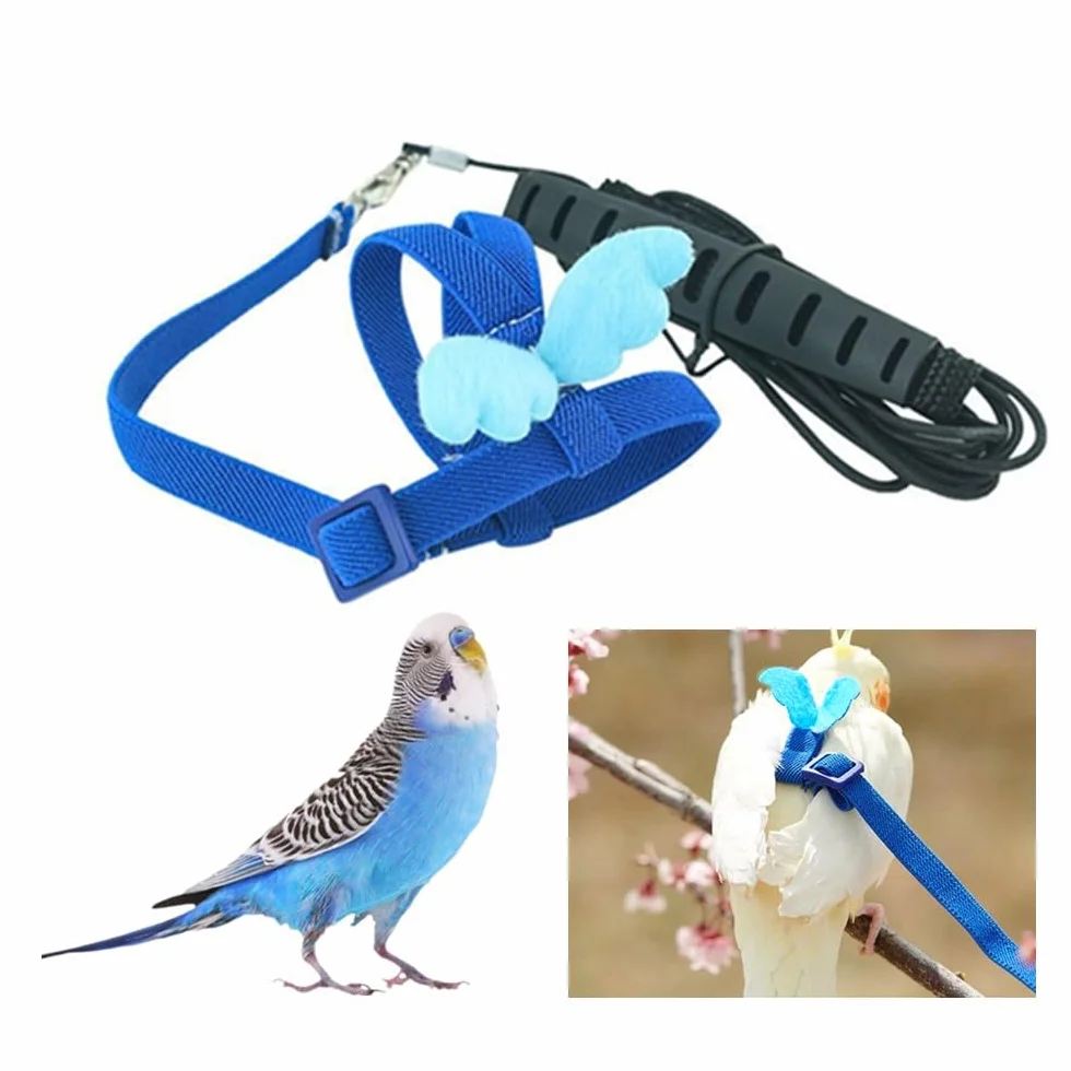 Corde de formation réglable, laisse pour perroquets, harnais de perroquet réglable pour animaux de compagnie et oiseaux laisse pour activités de plein air corde de formation(bleu)
