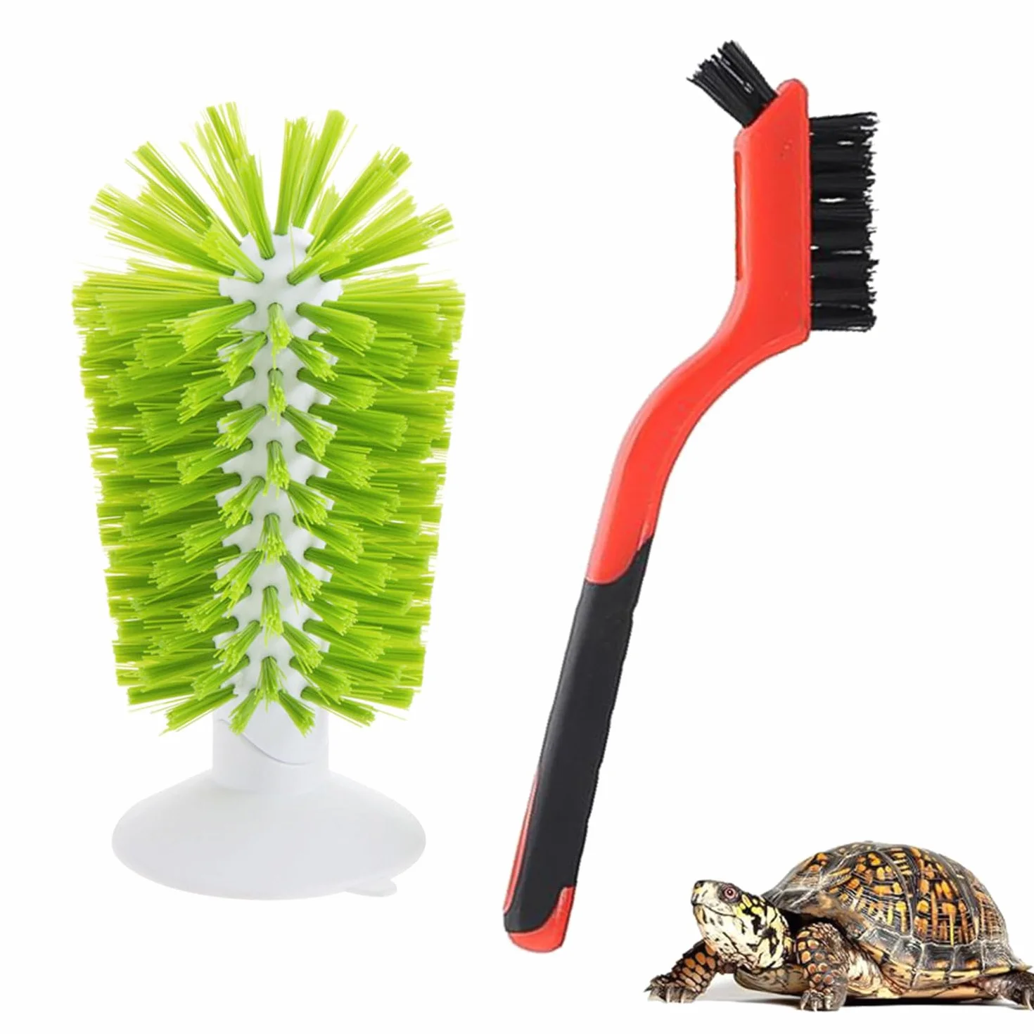 2 brosses à tortue avec ventouse, brosse nettoyage écailles exfoliante accessoires tortue vert