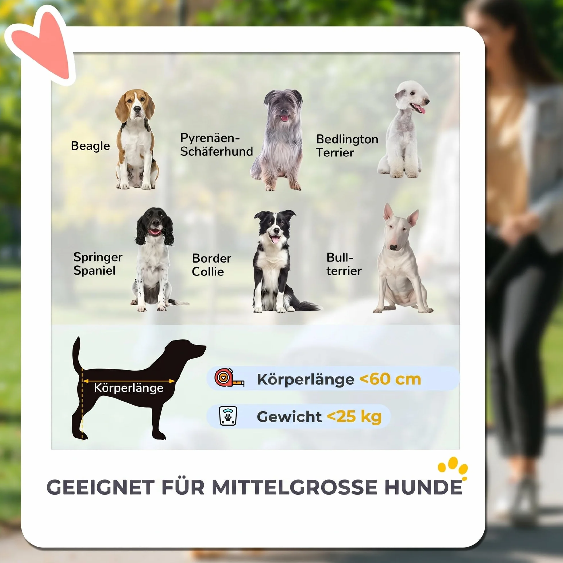 PawHut Poussette pliable pour chiens et chats jusqu'à 30 kg avec coussin et sac de rangement Marron