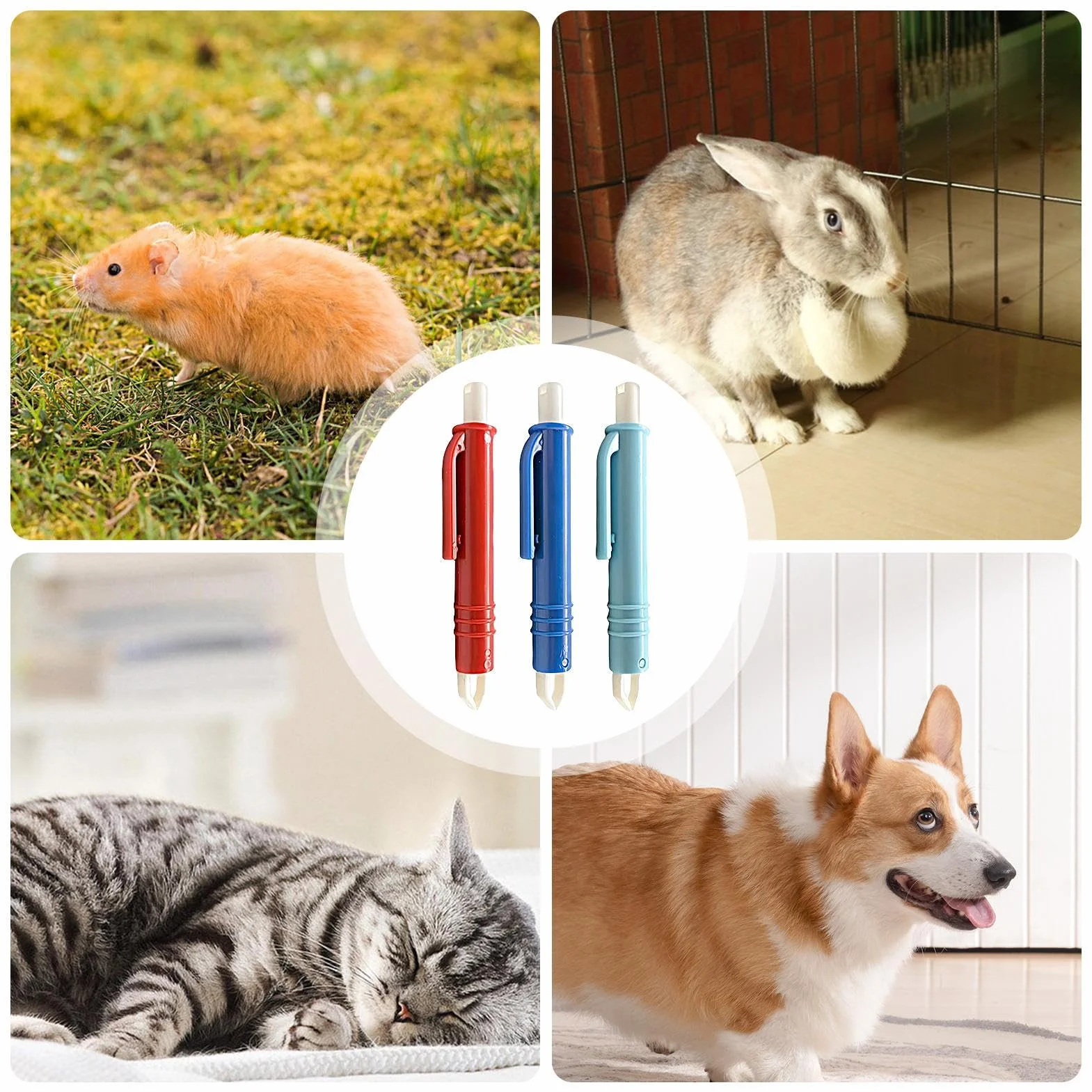 Outil d'Extraction de Tiques 3 Pièces Pince à Tiques pour Chien Accessoires Soins Animaliers