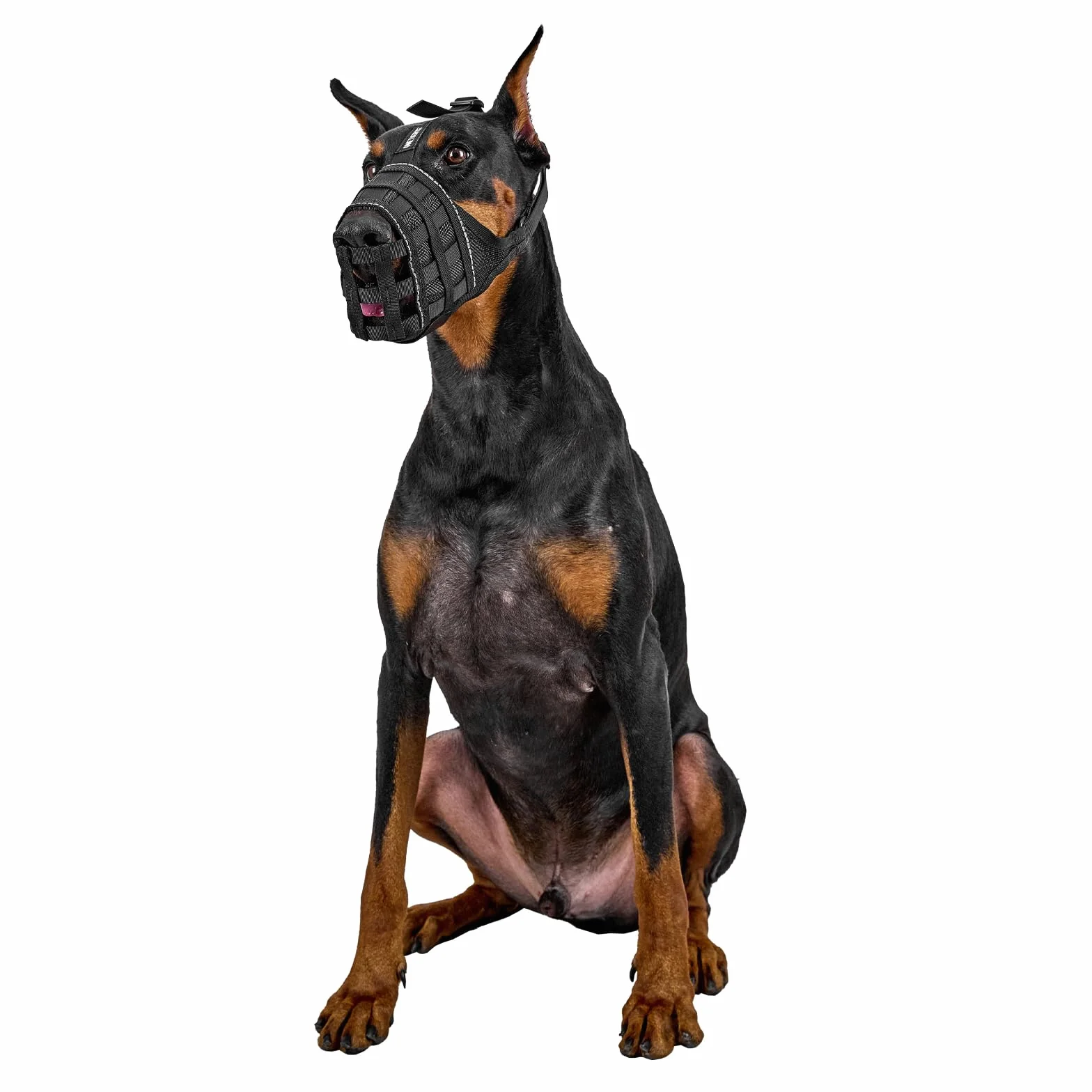 OneTigris Muselières pour Chiens, Maille Respirante Nylon, Museliere pour Chiens Ajustable avec Sangles Velcro, Respectueuse du Chien Qui Peut Haleter Et Boire, Museliere Anti Aboiement, XL