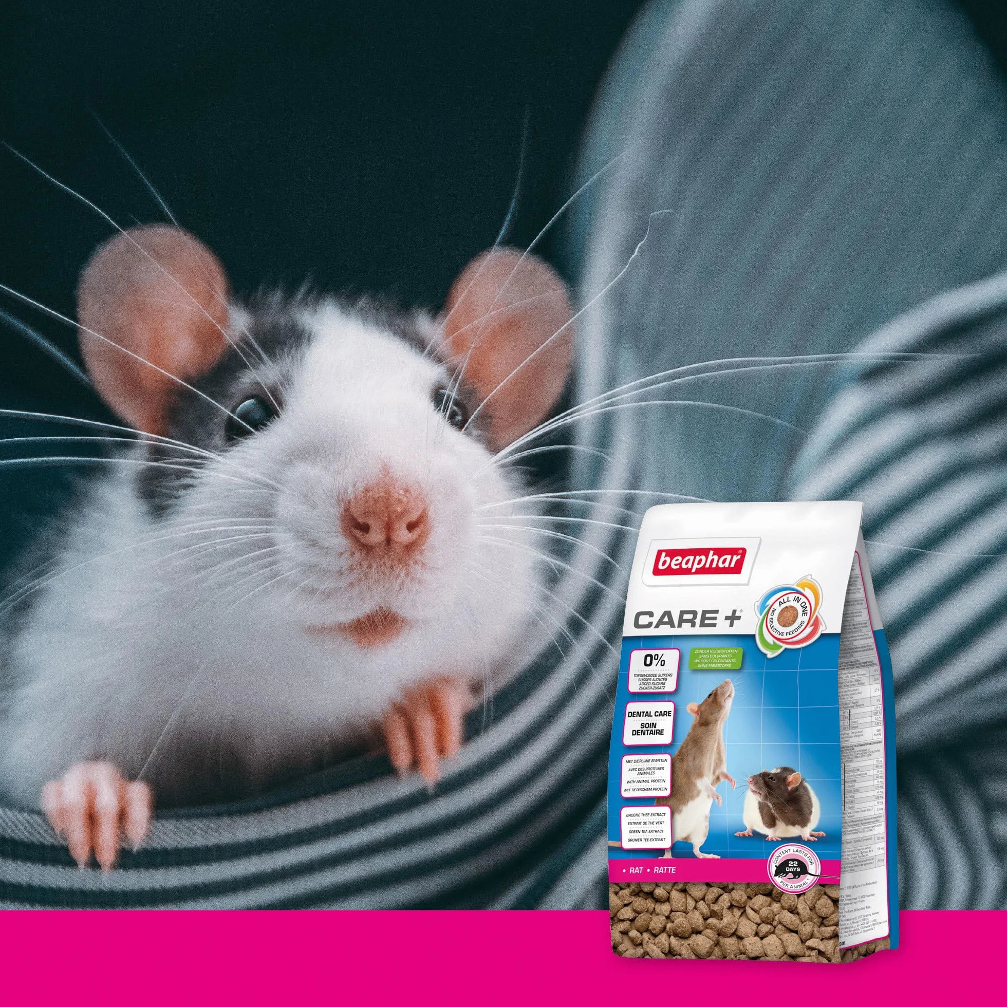 BEAPHAR Care+ Alimentation Super Premium extrudée pour Rat 700g