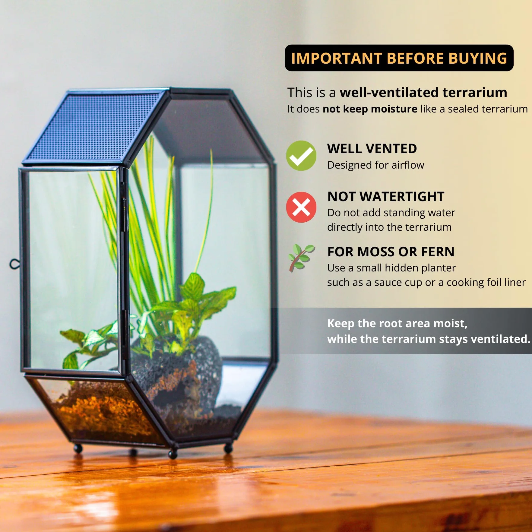 Terrarium en Verre Octogonale 15,8x8x22,1 cm avec Maille et Porte pour Araignées Insectes Petites Plantes