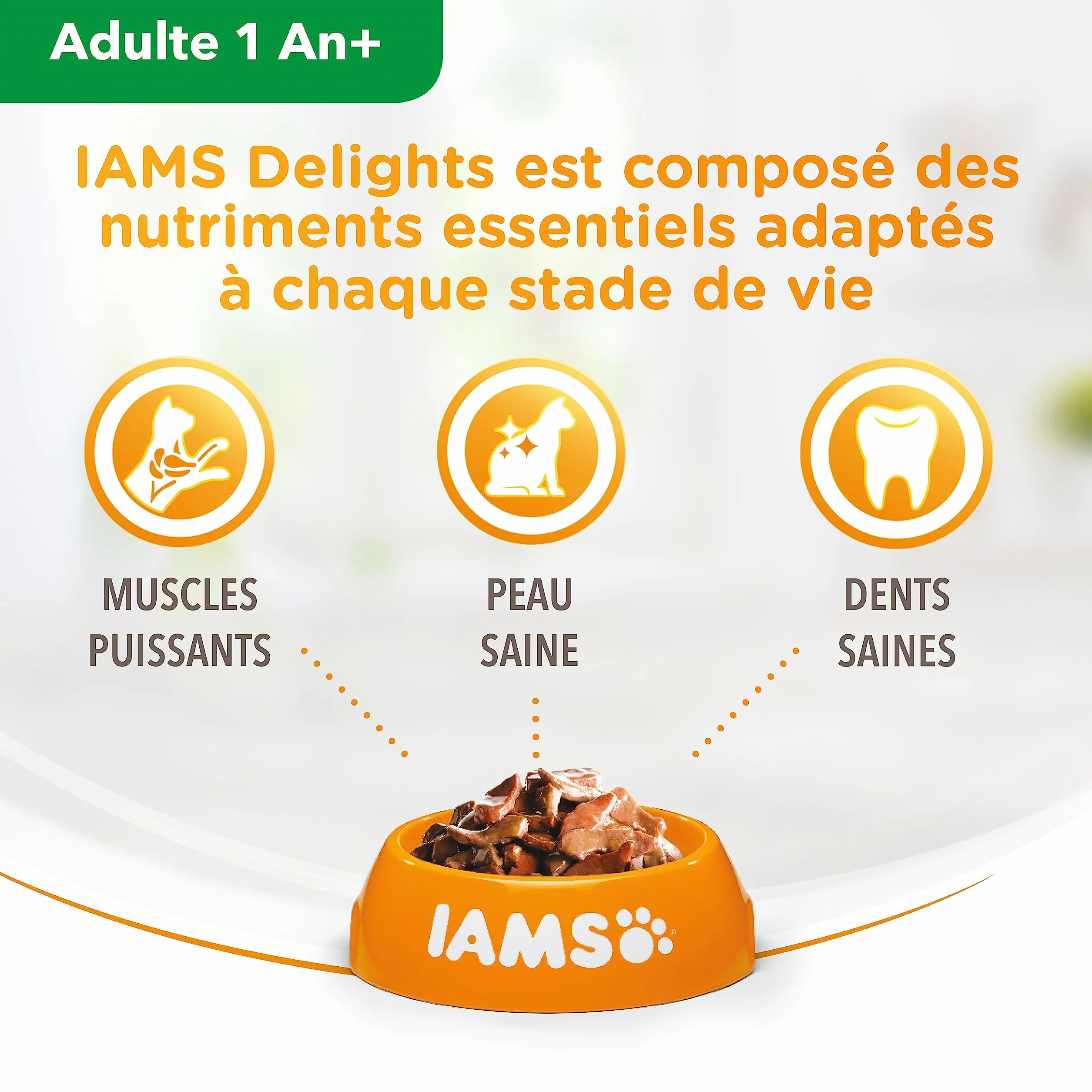 IAMS Chat Adulte Nourriture Humide en gelée Mer Sea Collection 12 sachets x 85g