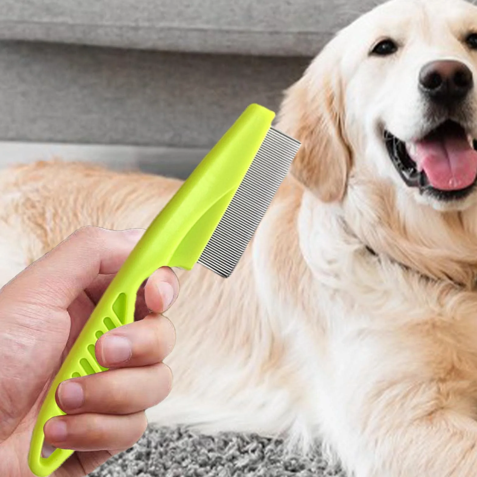 Brosse anti-puces pour chat avec manche épaissi | Peigne pour chiots pour petits chiens | Kit toilettes pour chiens Jingan