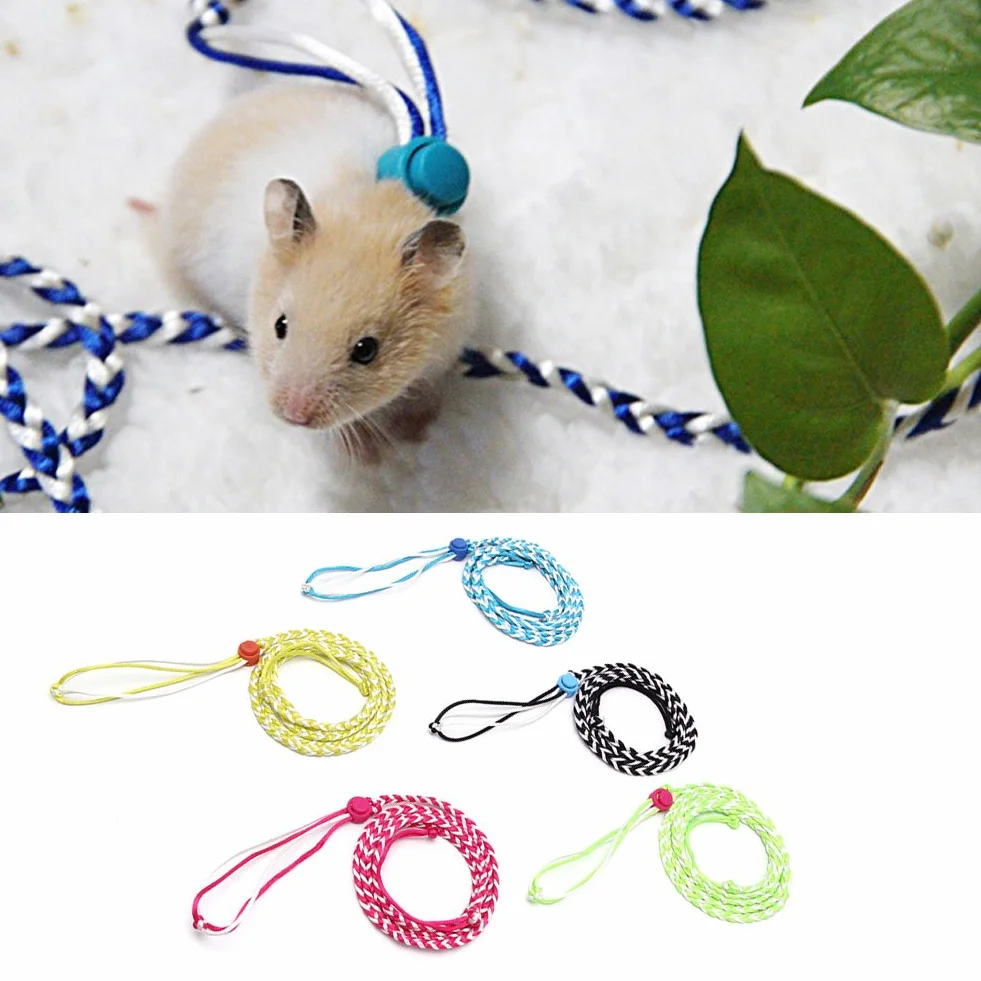 Harnais réglable pour hamster, laisse pour petits animaux de compagnie coloré