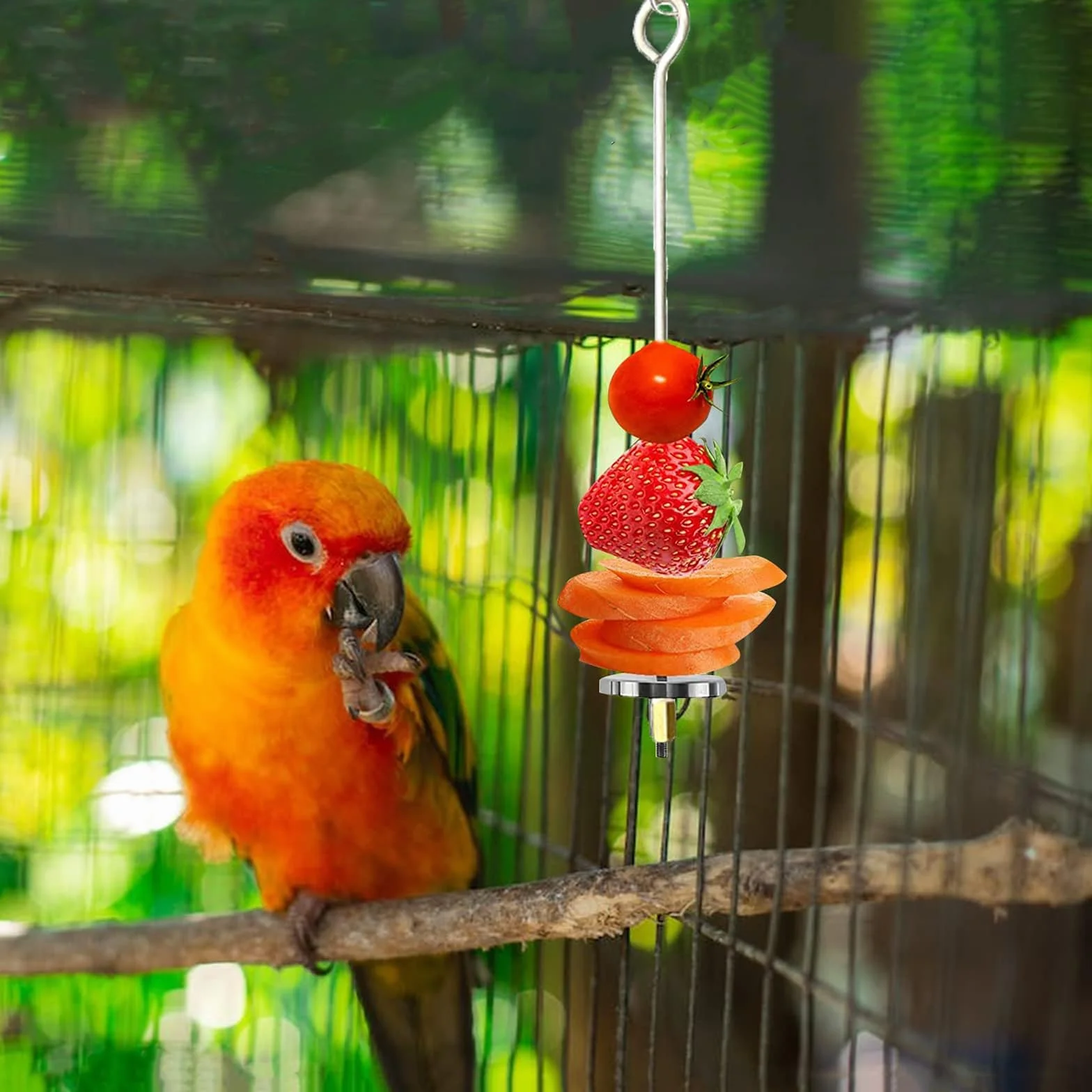 Porte Brochettes de Fruits Acier Inoxydable 2 PCS pour Perroquets Cage d'oiseaux