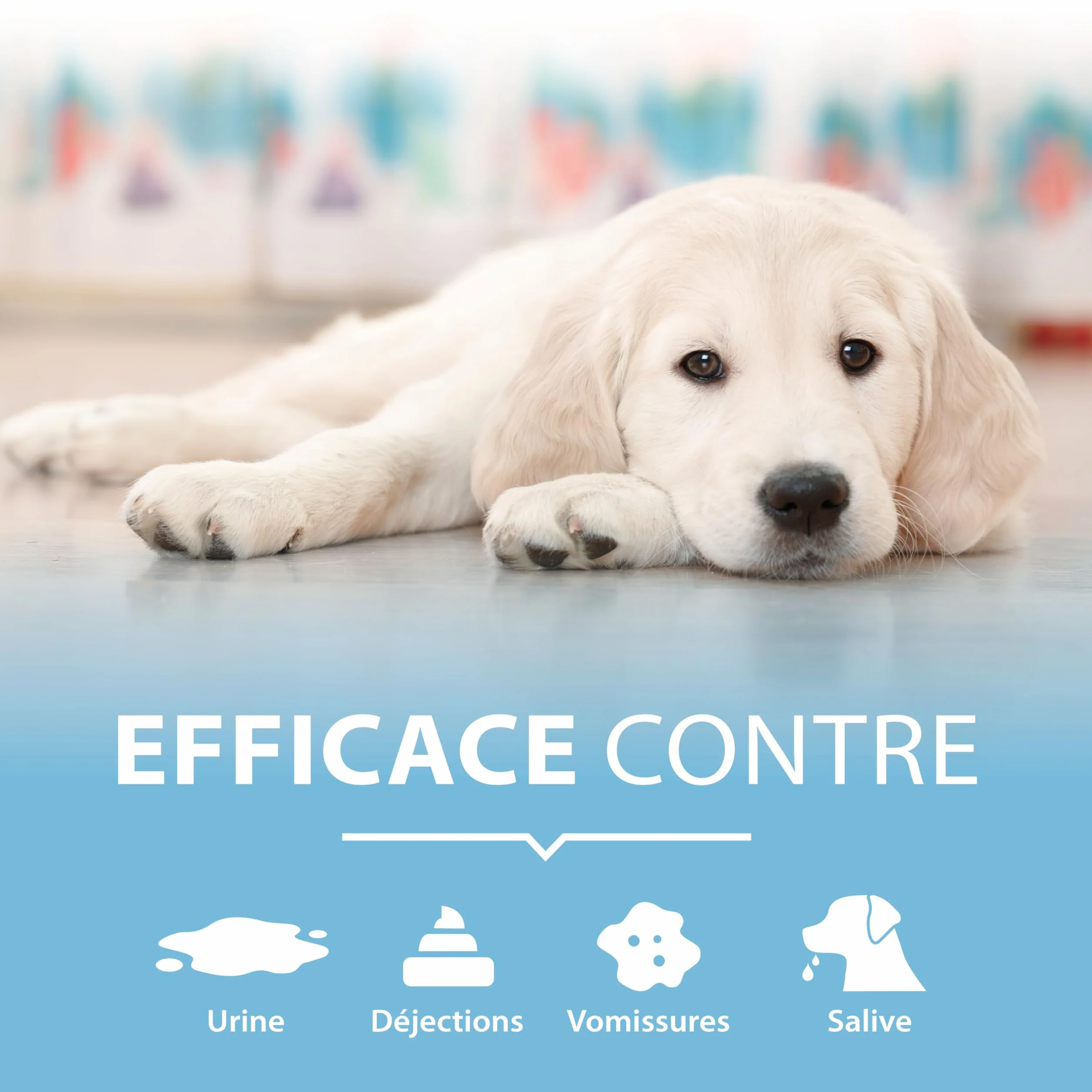 Détachant urine chien 750 ml spray enzymatique extra fort contre odeurs taches urine nettoyant bio textile sol tapis canapé