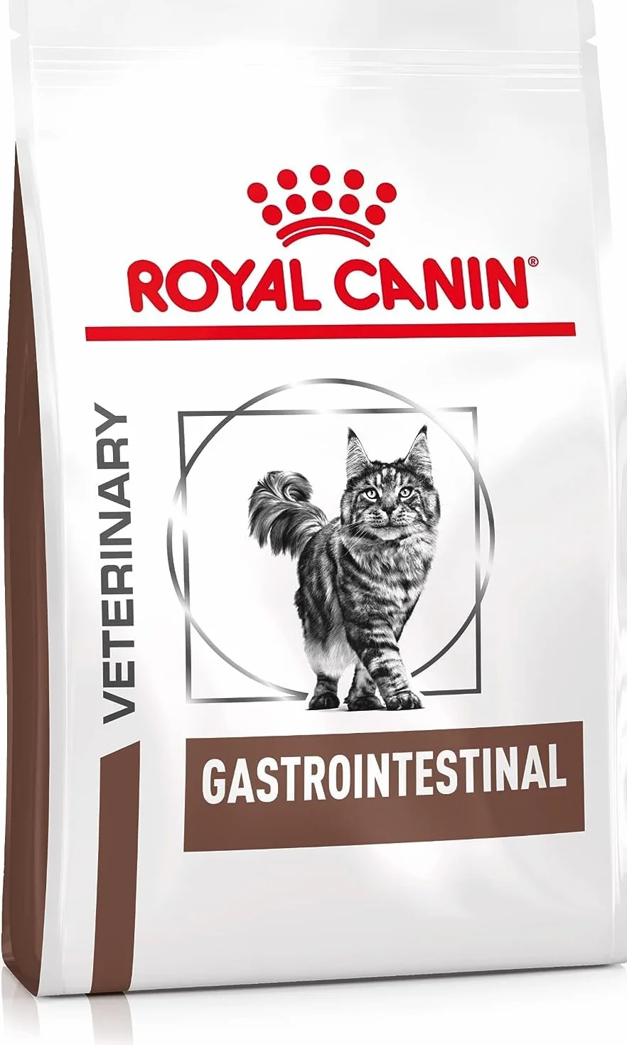 Royal Canin Veterinary Gastrointestinal 4 kg Nourriture sèche pour chats troubles gastro-intestinaux