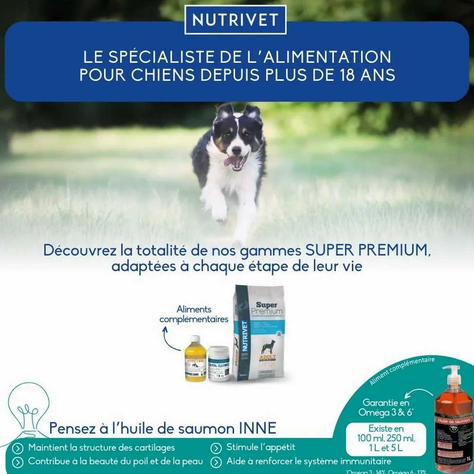 NUTRIVET - Super Premium - Adulte Mini - Croquettes sans Blé - Chien - Riche en Protéines Animales - 15 kg