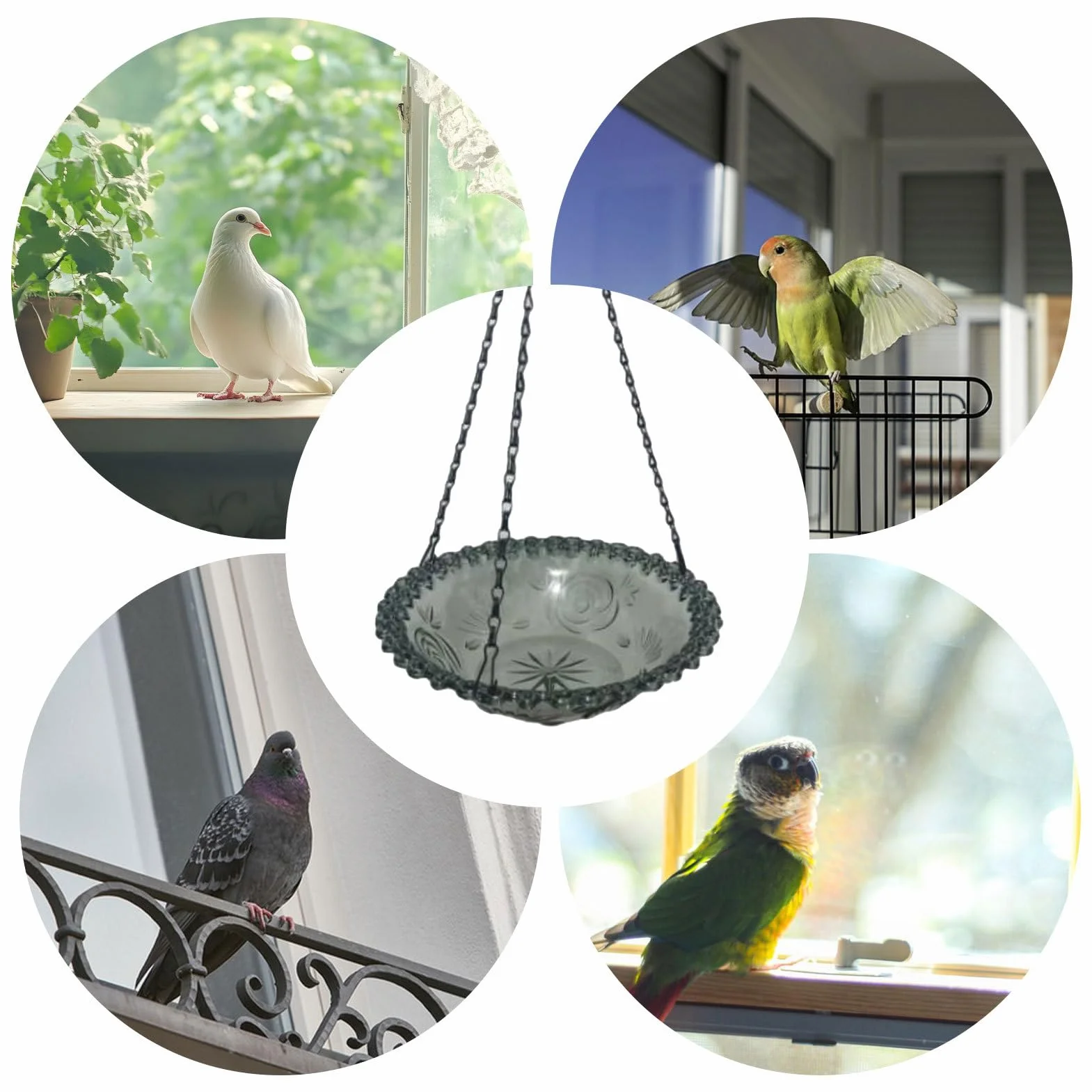 Abreuvoir pour Oiseaux - Petit Bain d'Oiseaux Décoration Jardin Bassin Extérieur