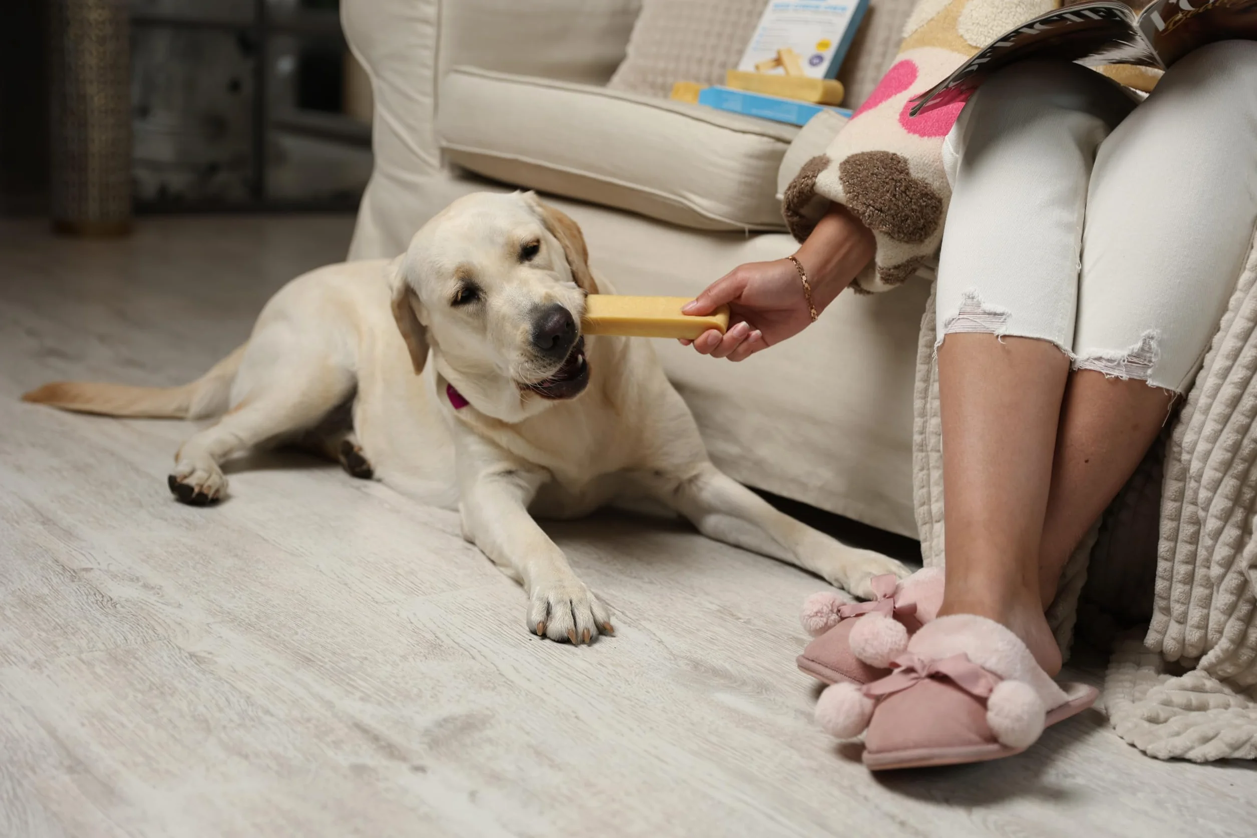 WOW BITES Os à mâcher au Fromage pour Chiens – Friandises Longue durée Lait Naturel 140 g Lot de 4 Taille S