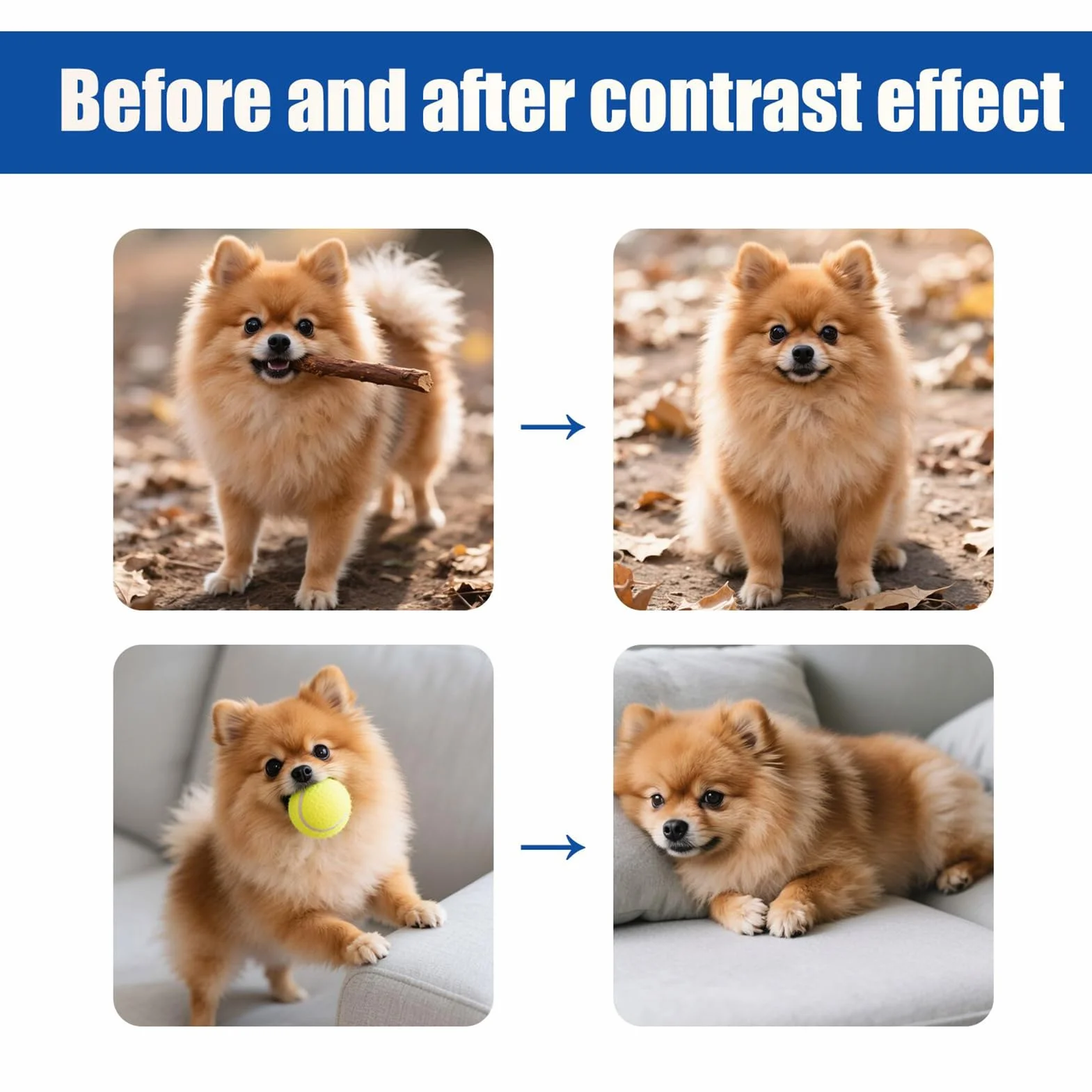 Spray Anti-pour Chiens d'intérieur d'Apprentissage de la Propreté pour Chiot Aide au Comportement Urine Déjections Canines Meubles Tapis