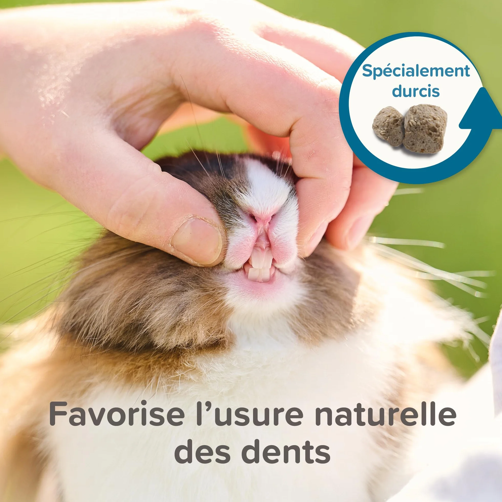 BEAPHAR Care+ Alimentation Super Premium extrudée pour Hamster 700g