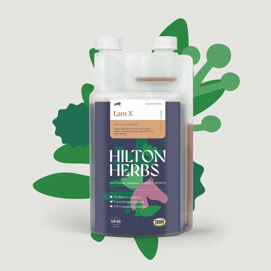 Hilton Herbs NAV-X Gold 1 L Complément Alimentaire Cheval Foubure et Naviculaire