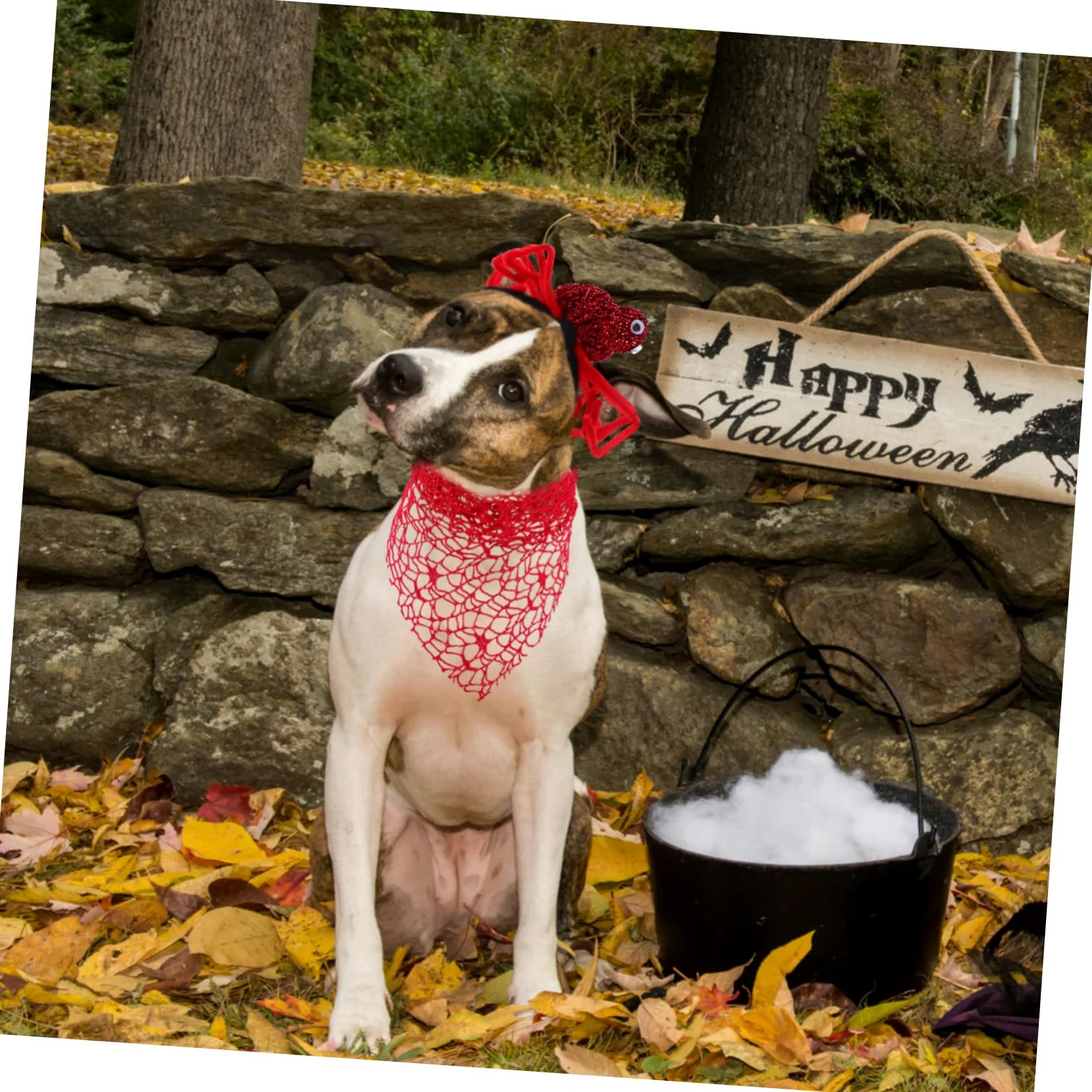 Bandana Mignon pour Chien Halloween, Lot de 2, Polyester Rouge | Bandeau Araignée, Accessoires pour Chiens Halloween, Costume Halloween pour Chien